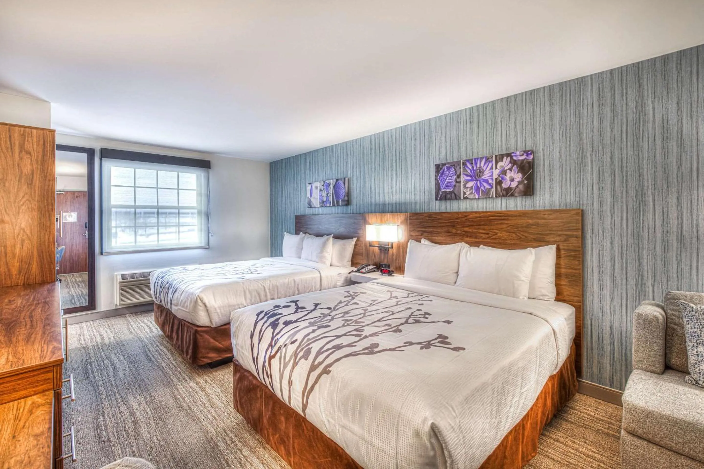 Bedroom, Bed in Sleep Inn Oakbrook Terrace - Chicago