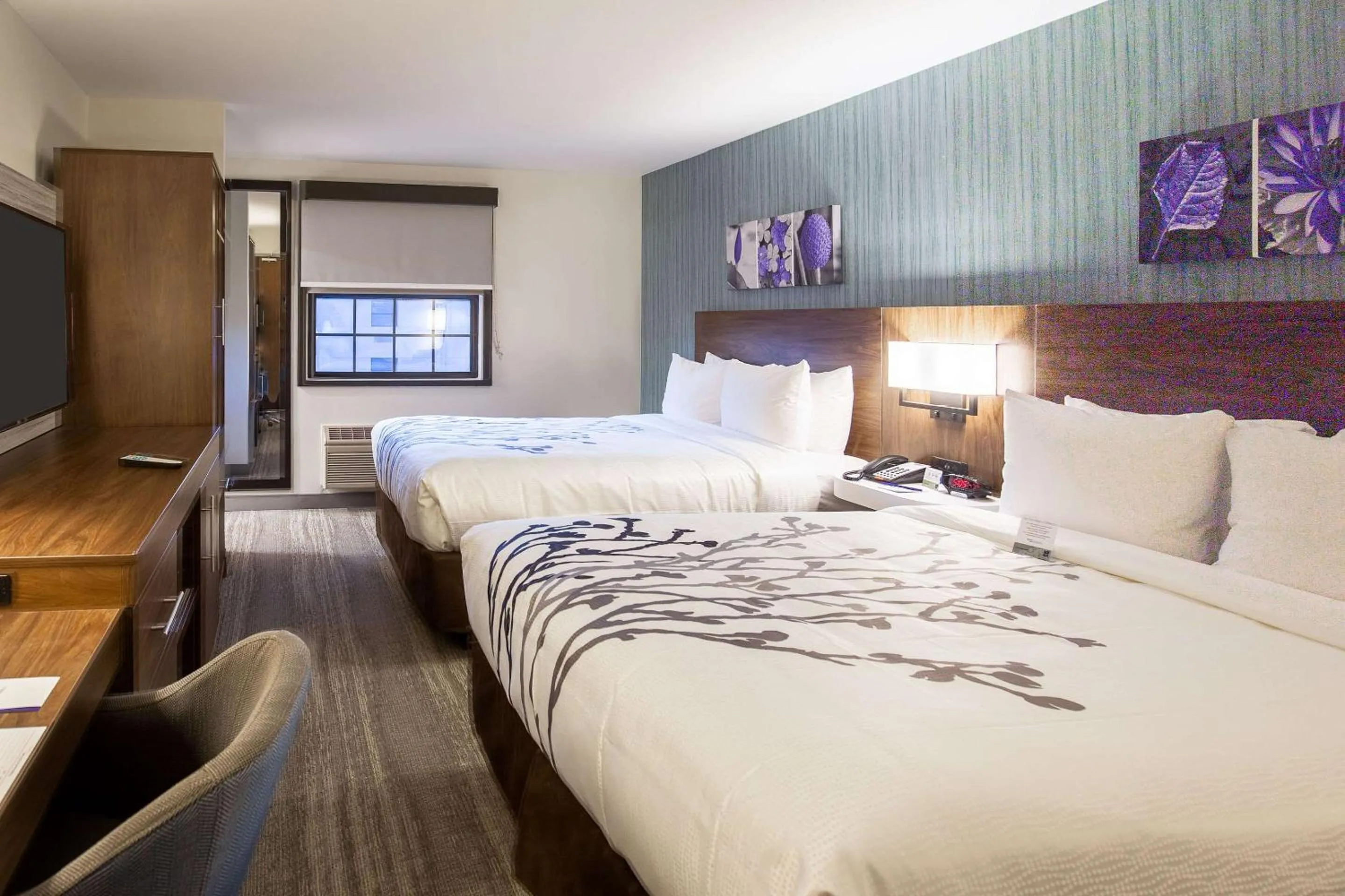 Bedroom, Bed in Sleep Inn Oakbrook Terrace - Chicago