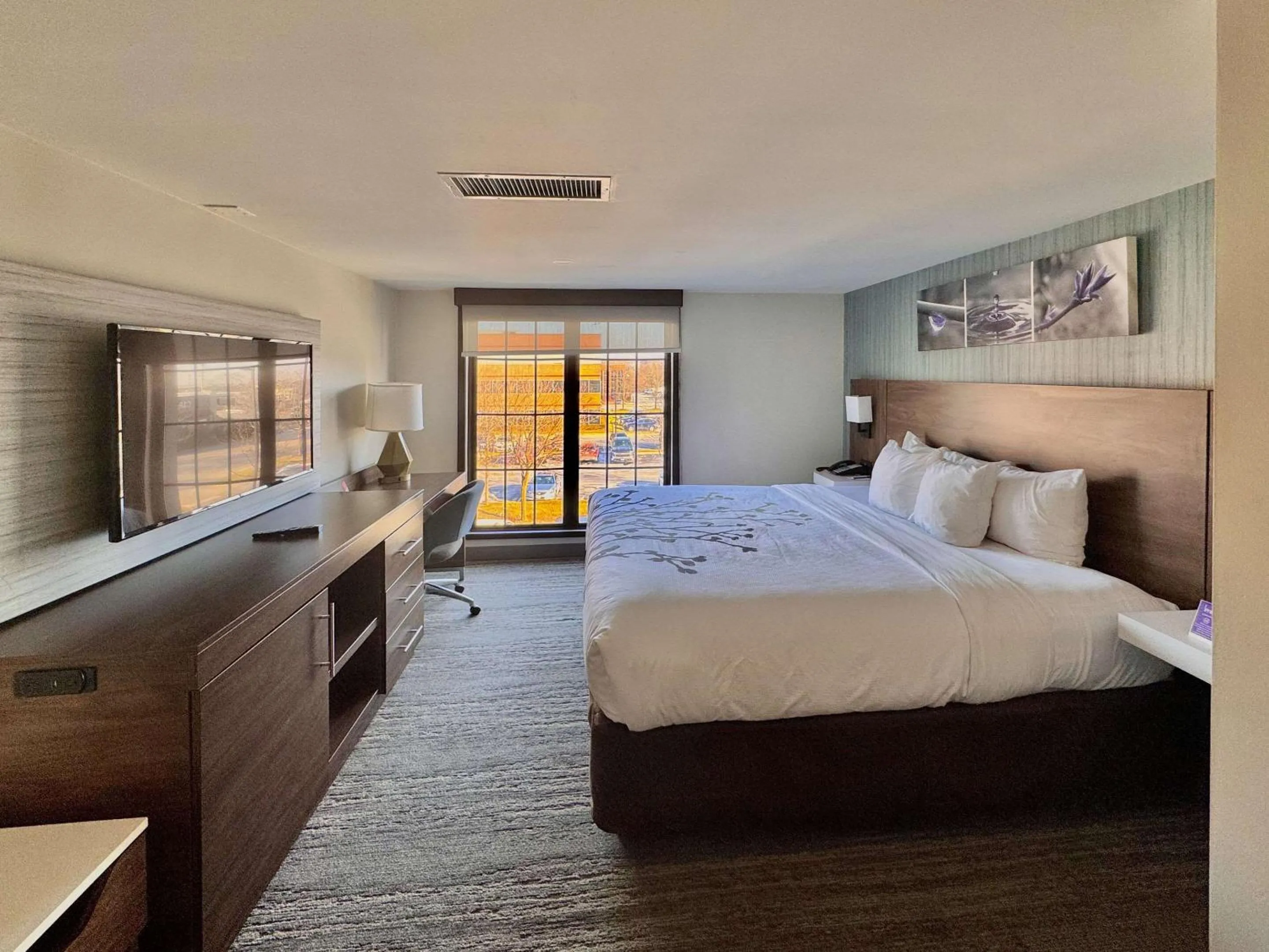 Bedroom, Bed in Sleep Inn Oakbrook Terrace - Chicago