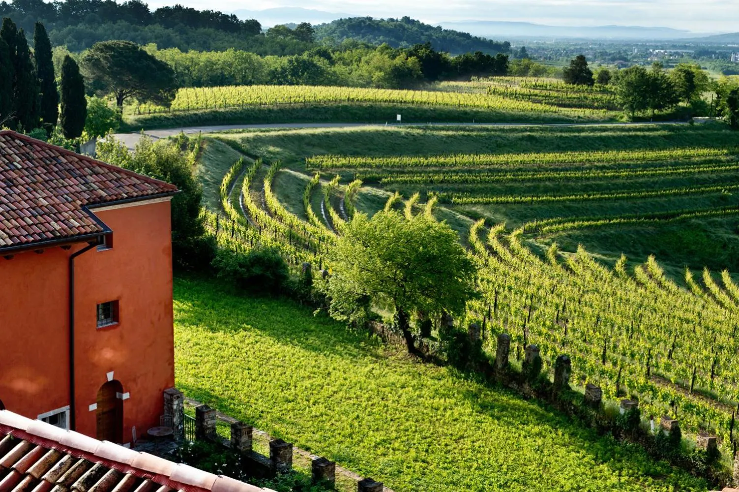 Natural landscape in Castello di Buttrio