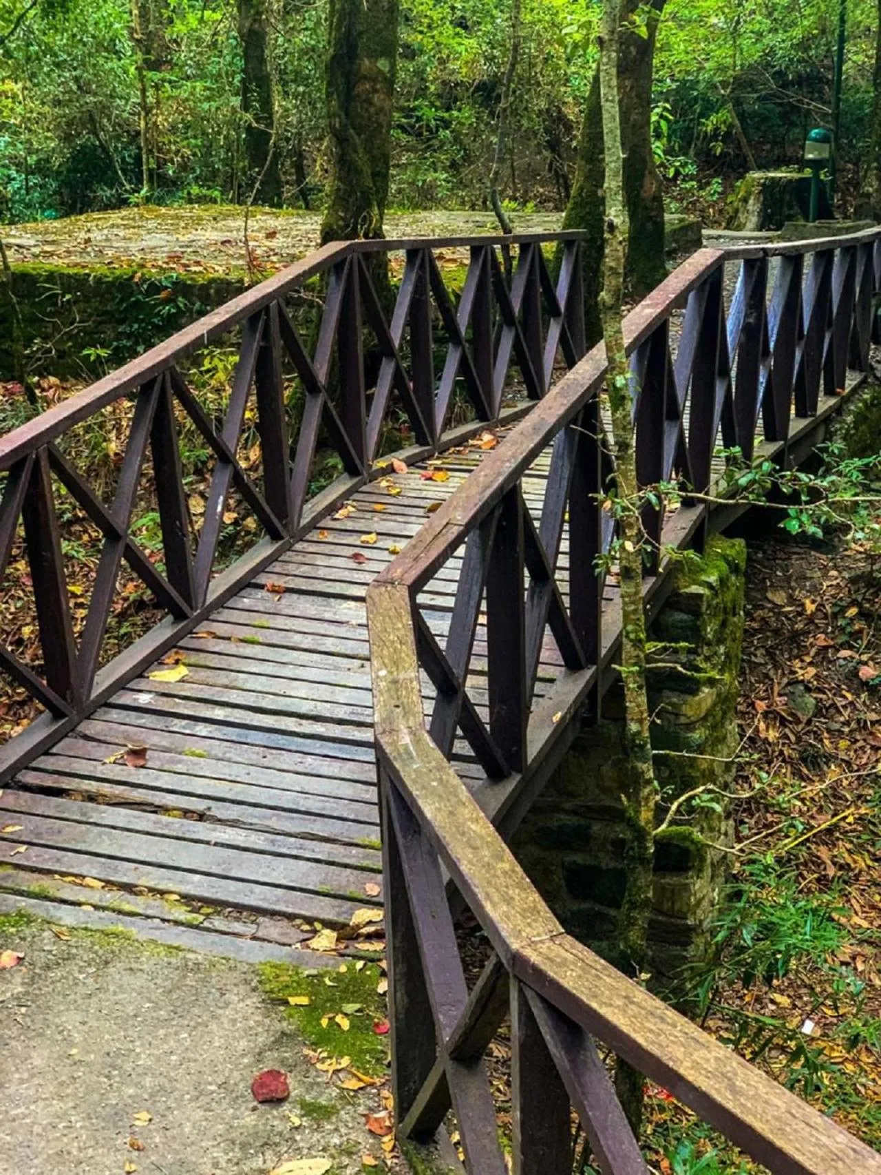 Area and facilities in Ayar Jungle Resort