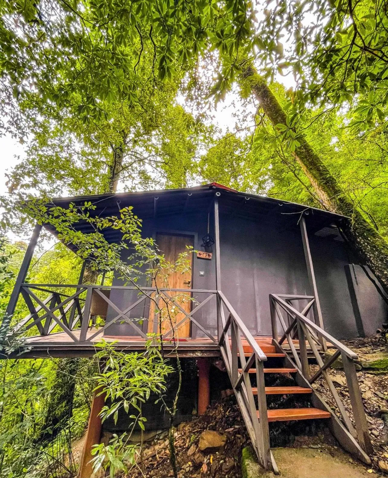 Facade/entrance in Ayar Jungle Resort