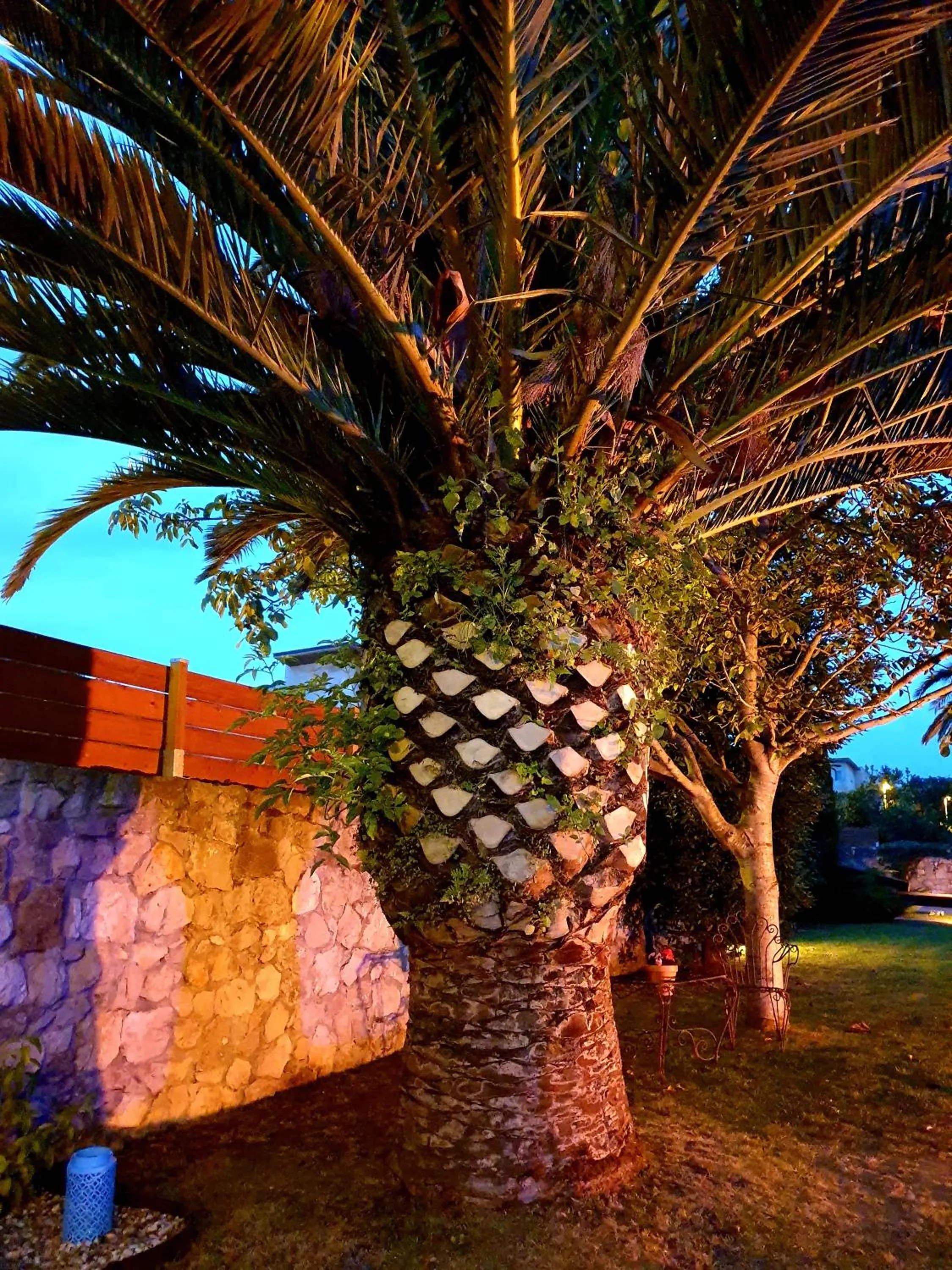 Garden in Hotel Finca Alcamino