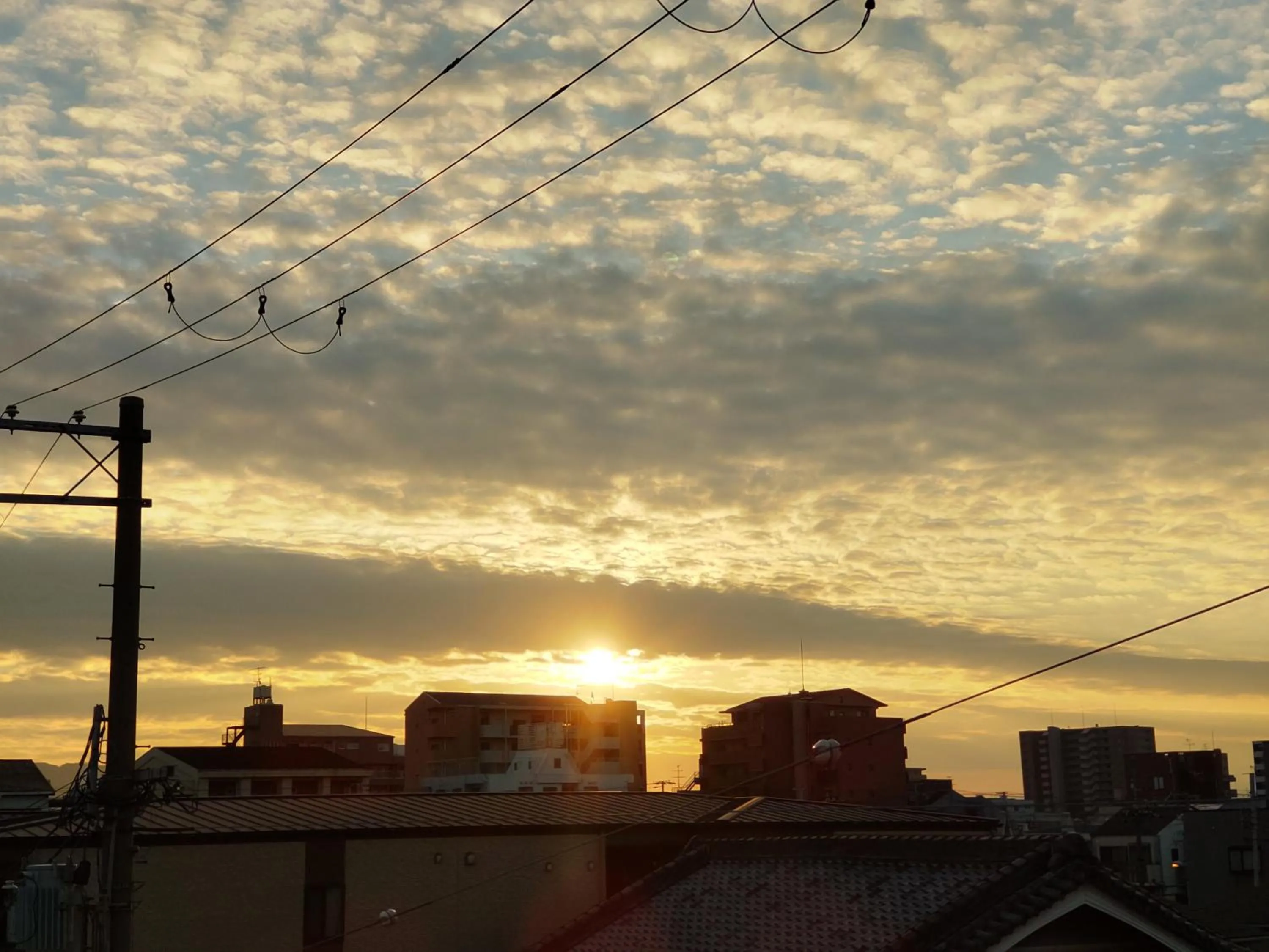 OTERA HOUSE 瑞　TAMA