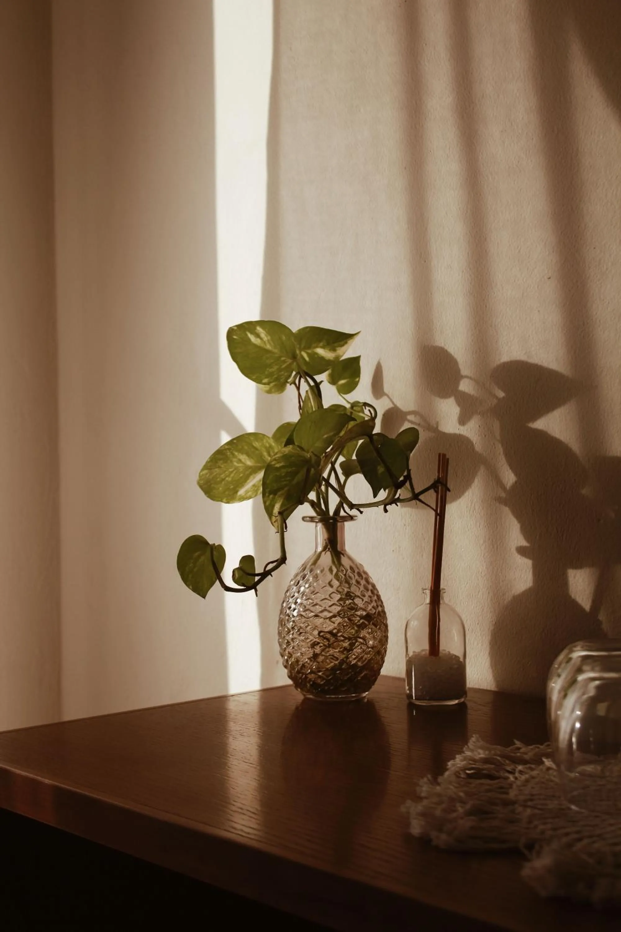 Decorative detail in Noah Beach Hotel & Suites