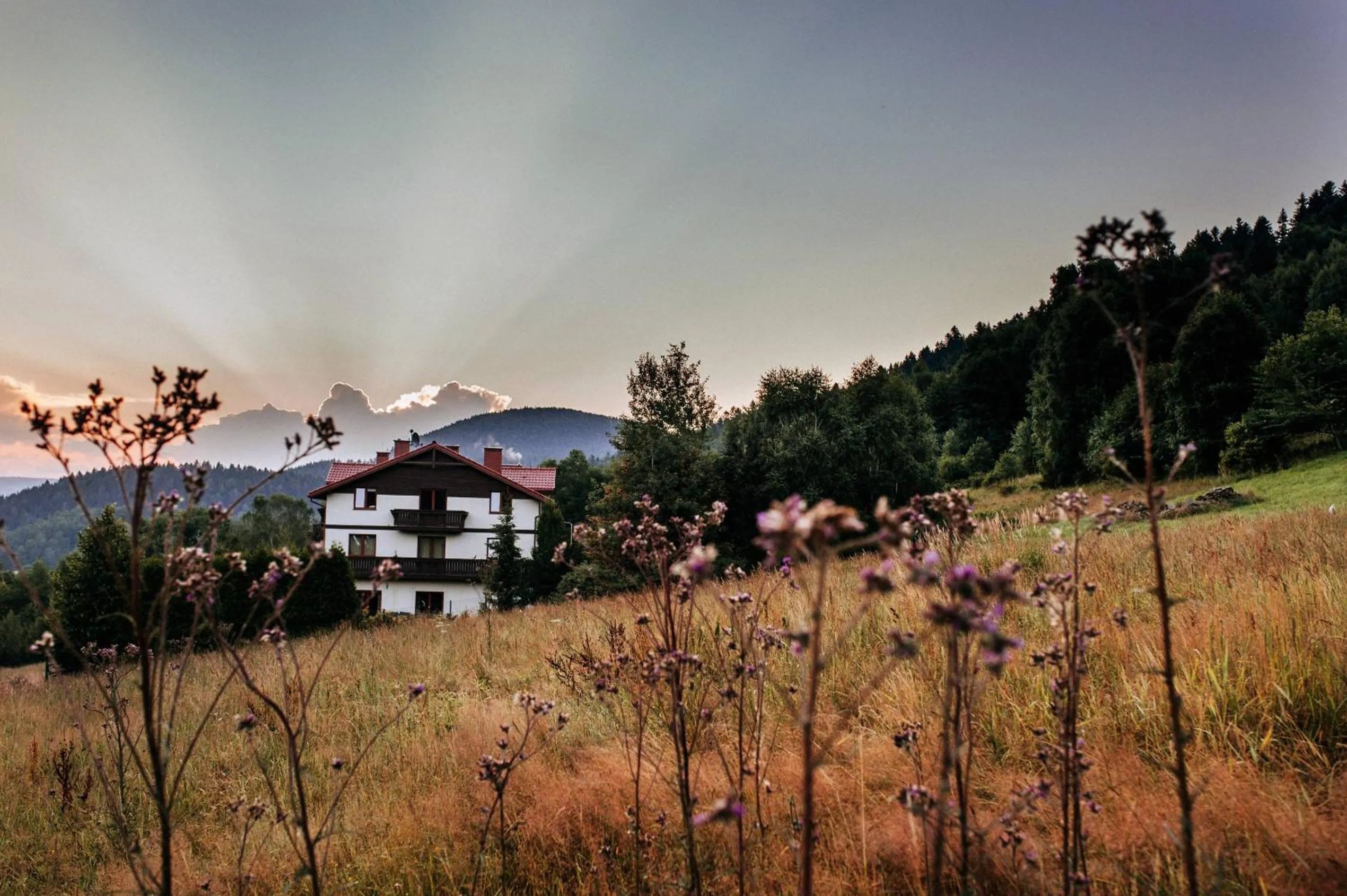 Property building in Przystanek Góry