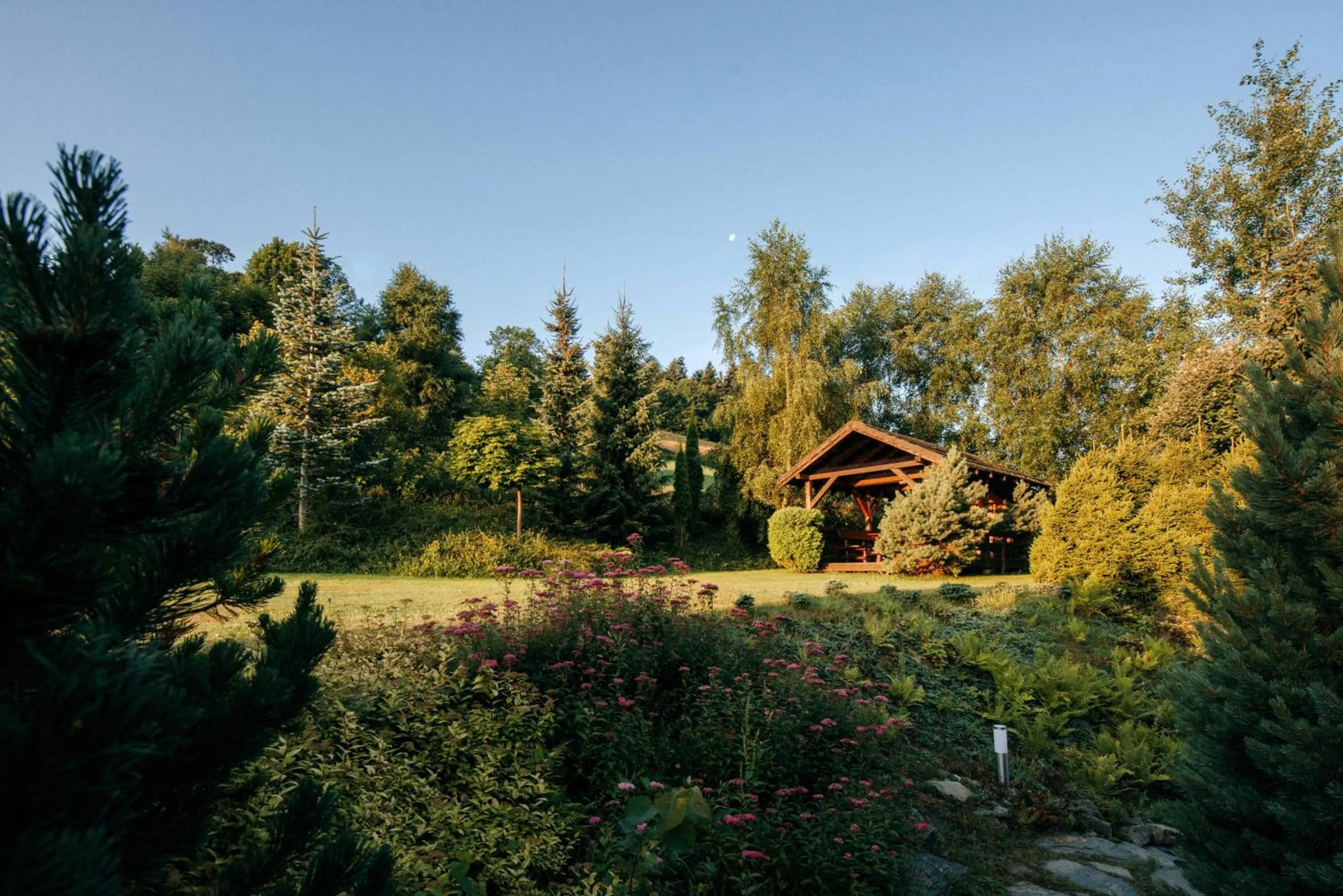 Natural landscape in Przystanek Góry