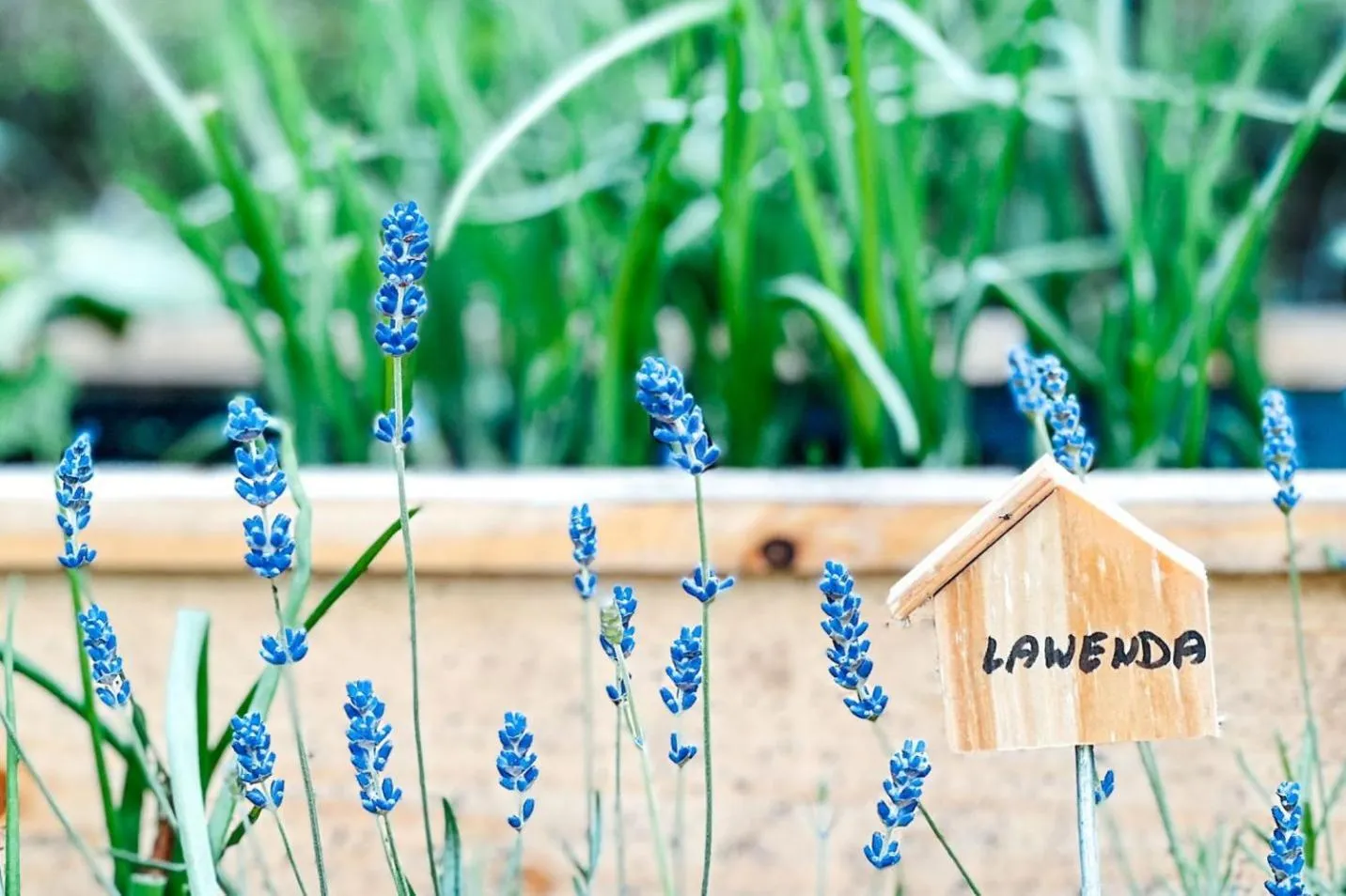 Day in Przystanek Góry