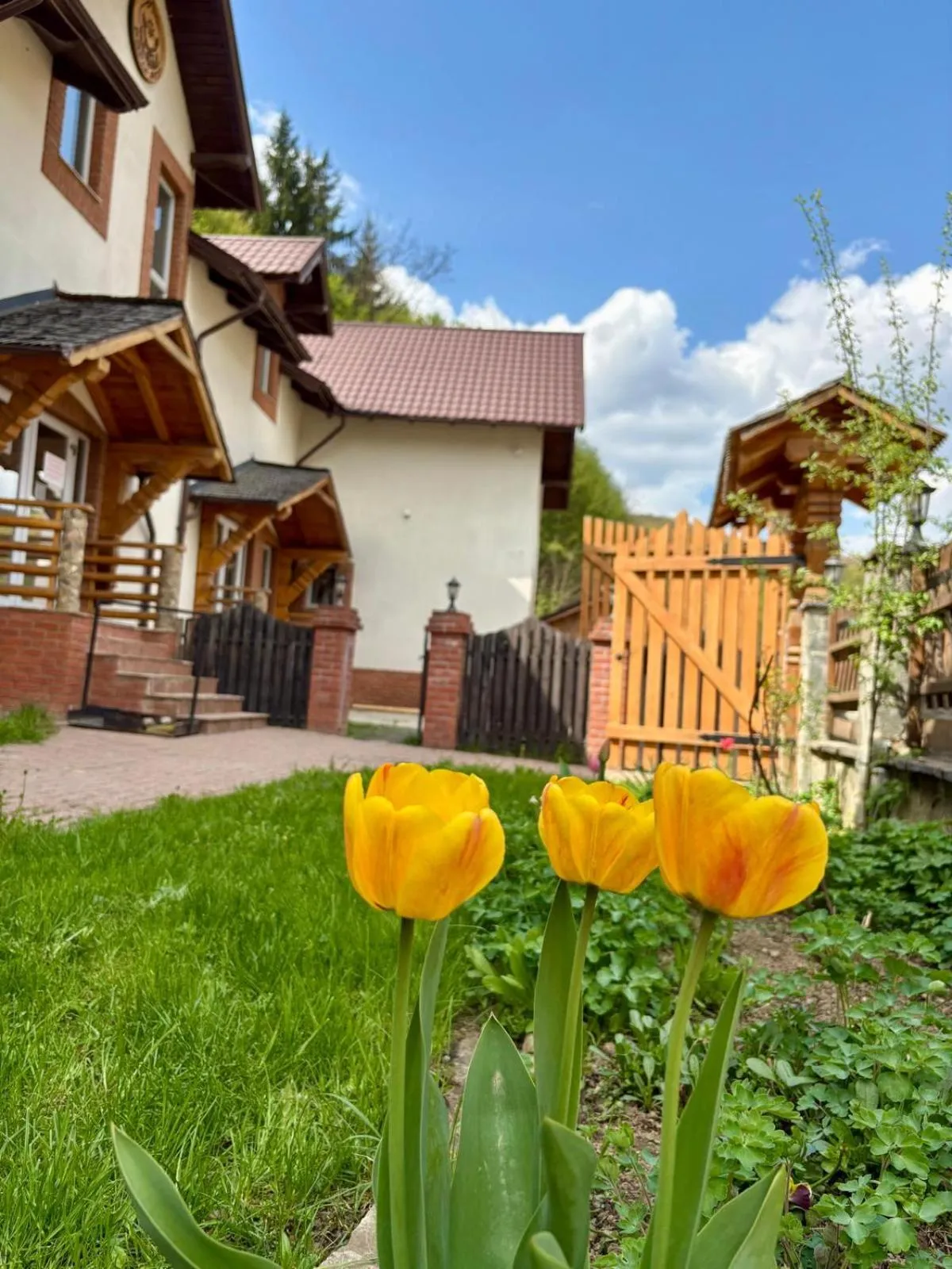 Property building in Pensiunea Popas Pop, Strambu-Baiut, Maramures