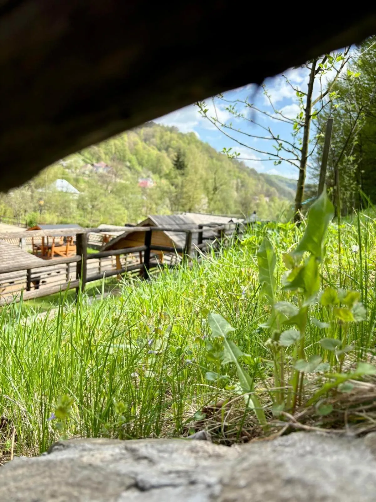 Natural landscape in Pensiunea Popas Pop, Strambu-Baiut, Maramures