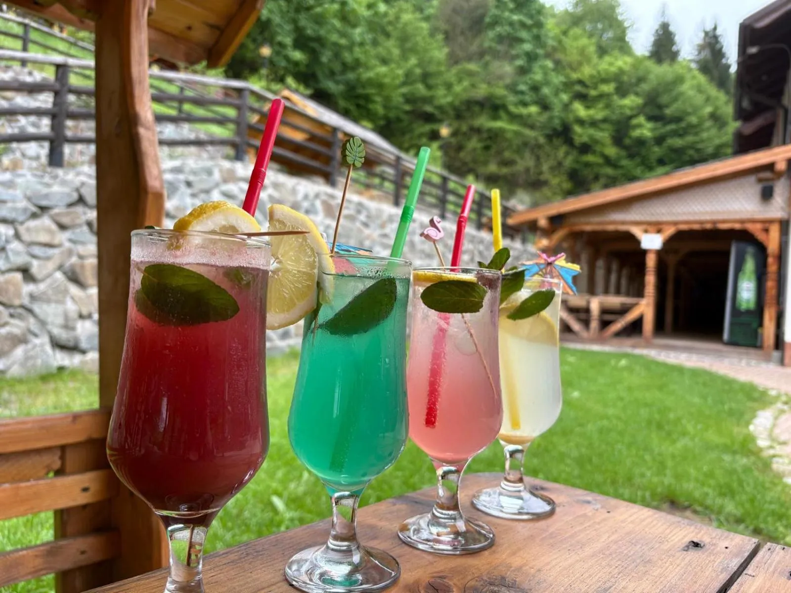 Drinks in Pensiunea Popas Pop, Strambu-Baiut, Maramures