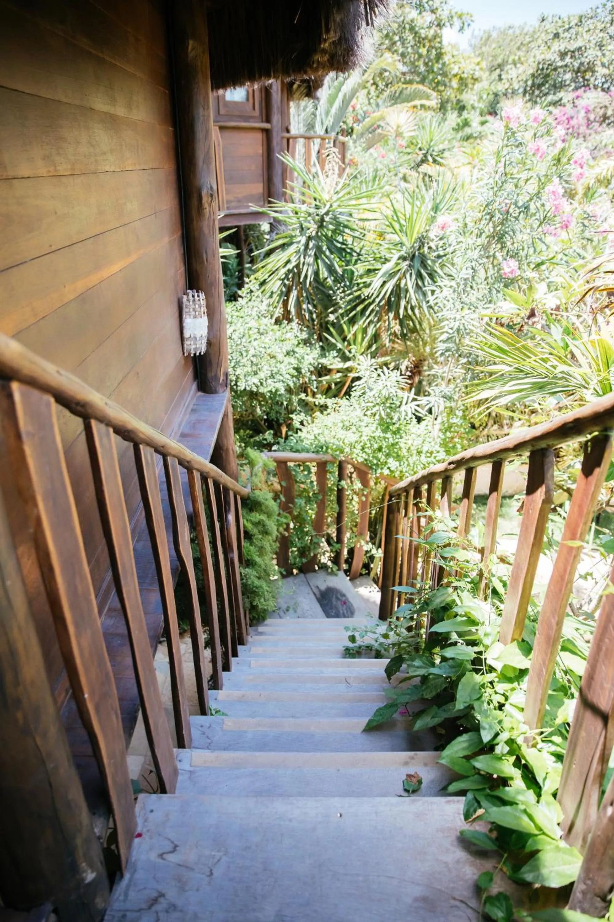 Property building in Hurricane Jeri