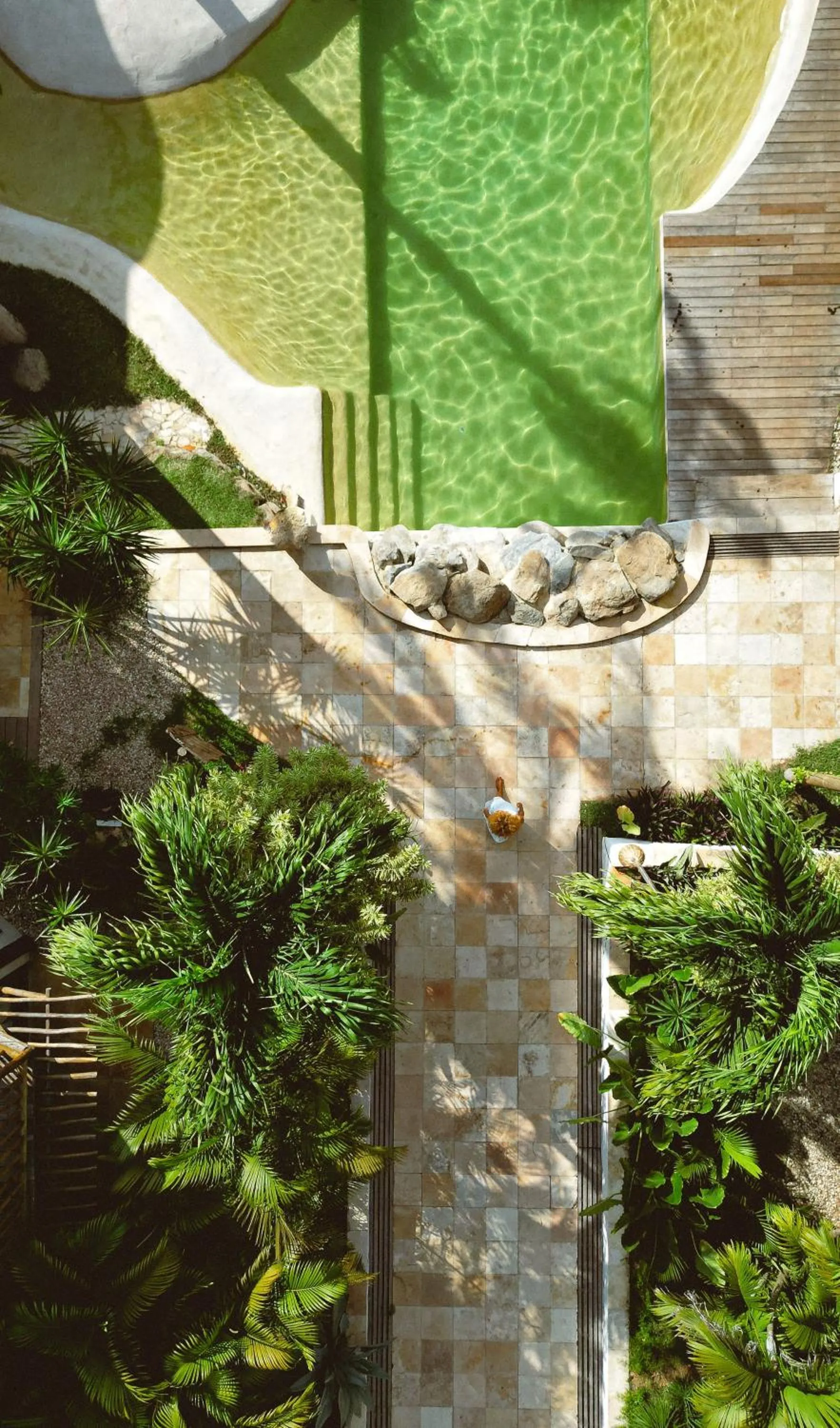 Spring in Hurricane Jeri