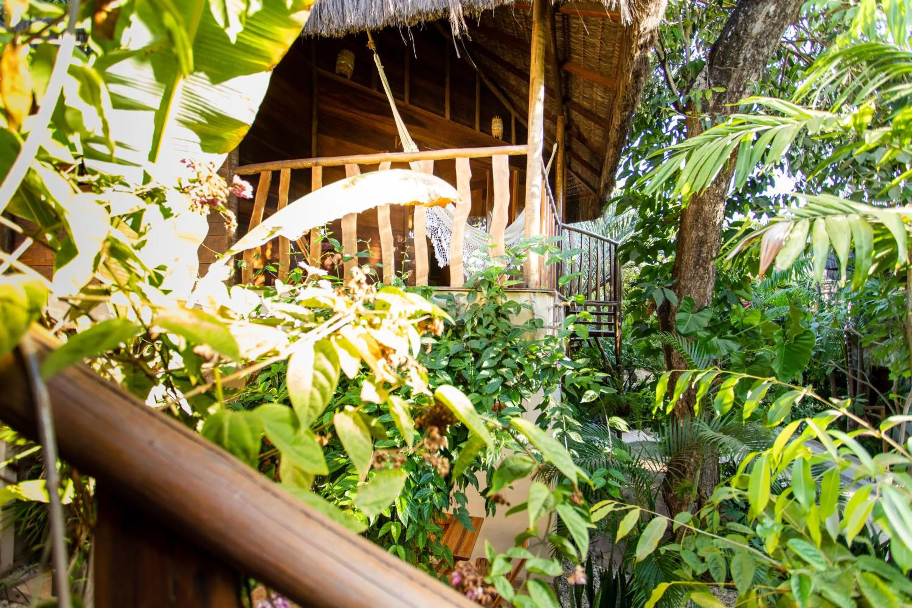 Spring in Hurricane Jeri