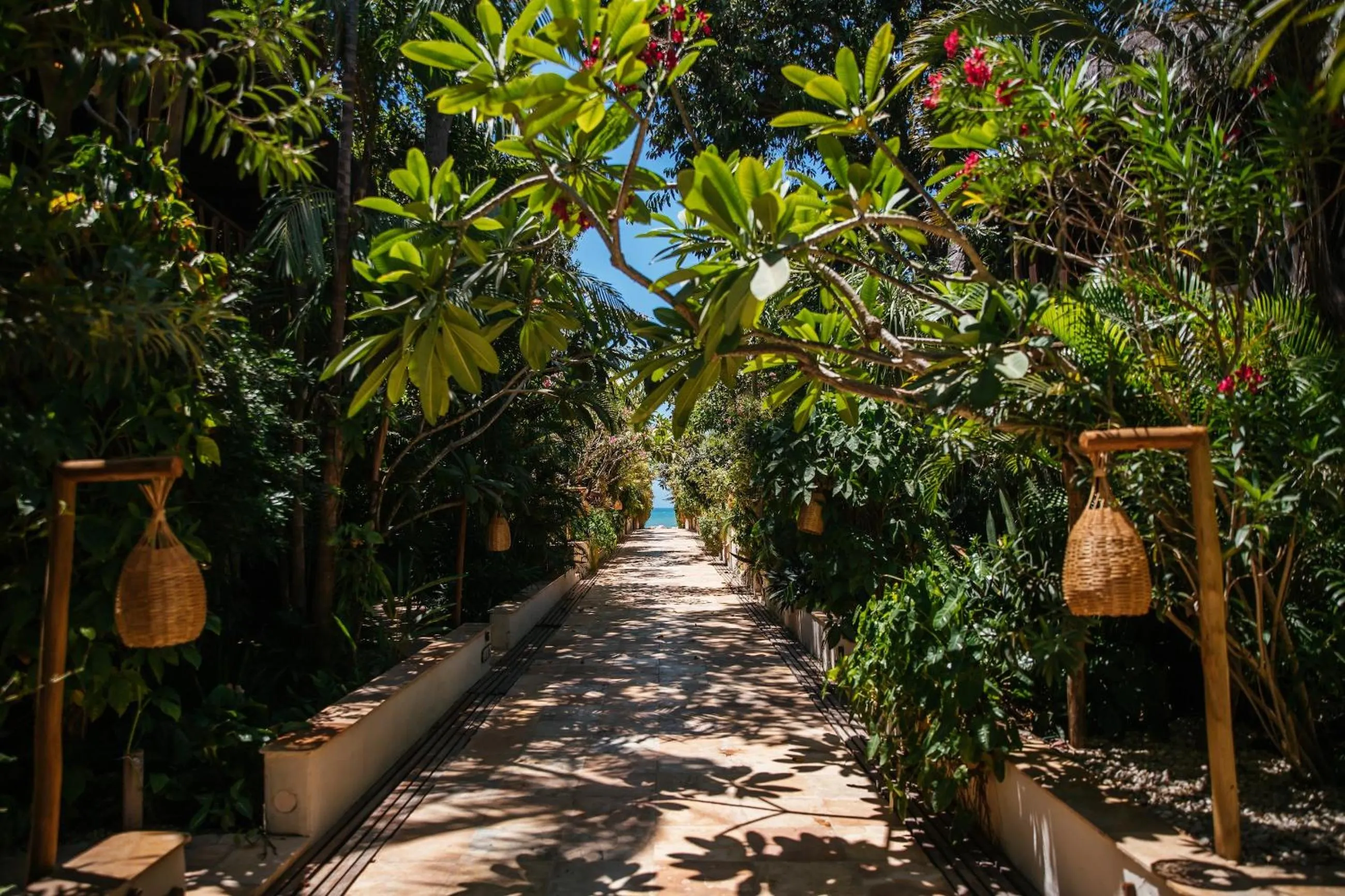 Spring in Hurricane Jeri