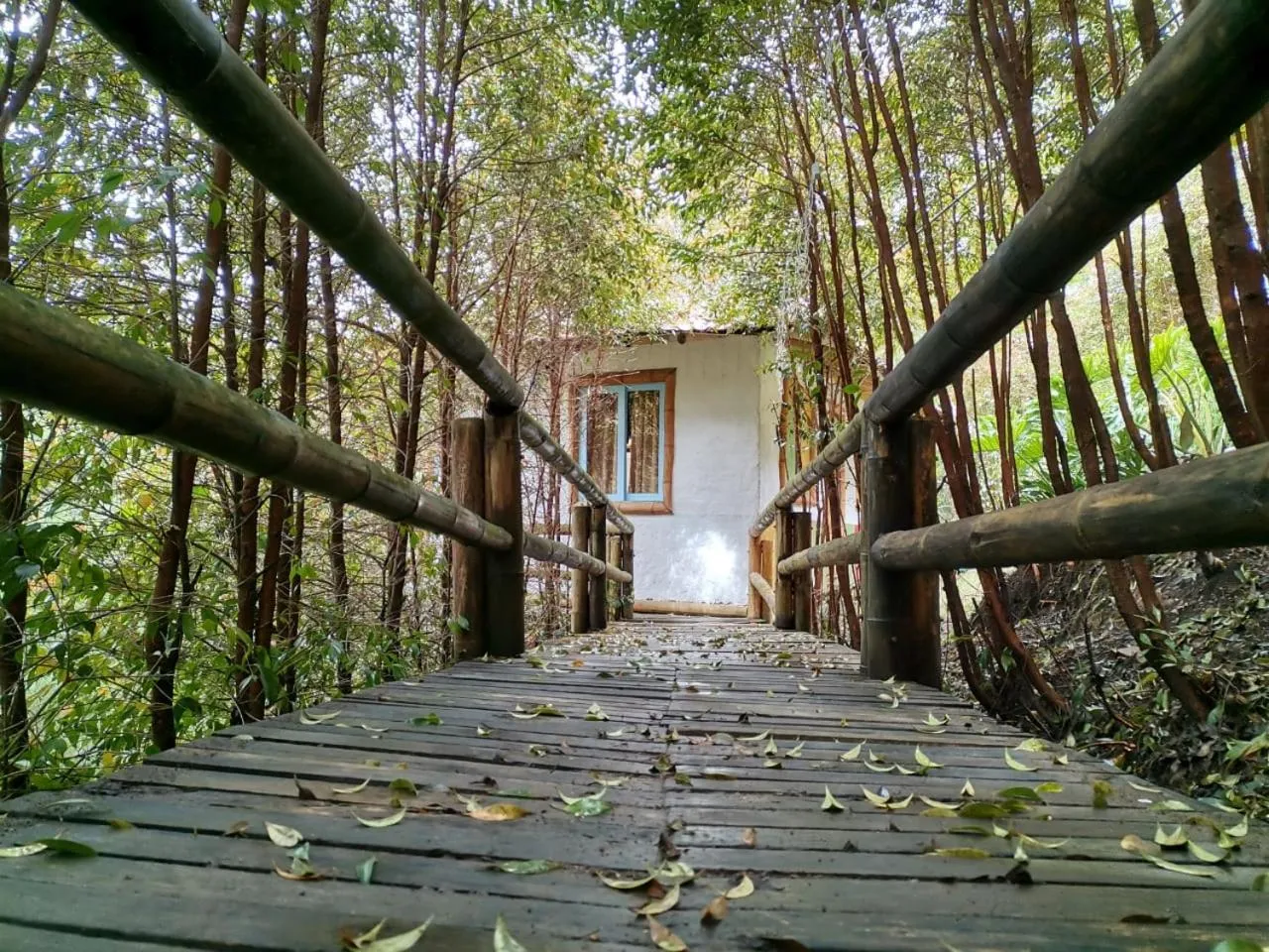 Patio in Eco Hotel Terrabella