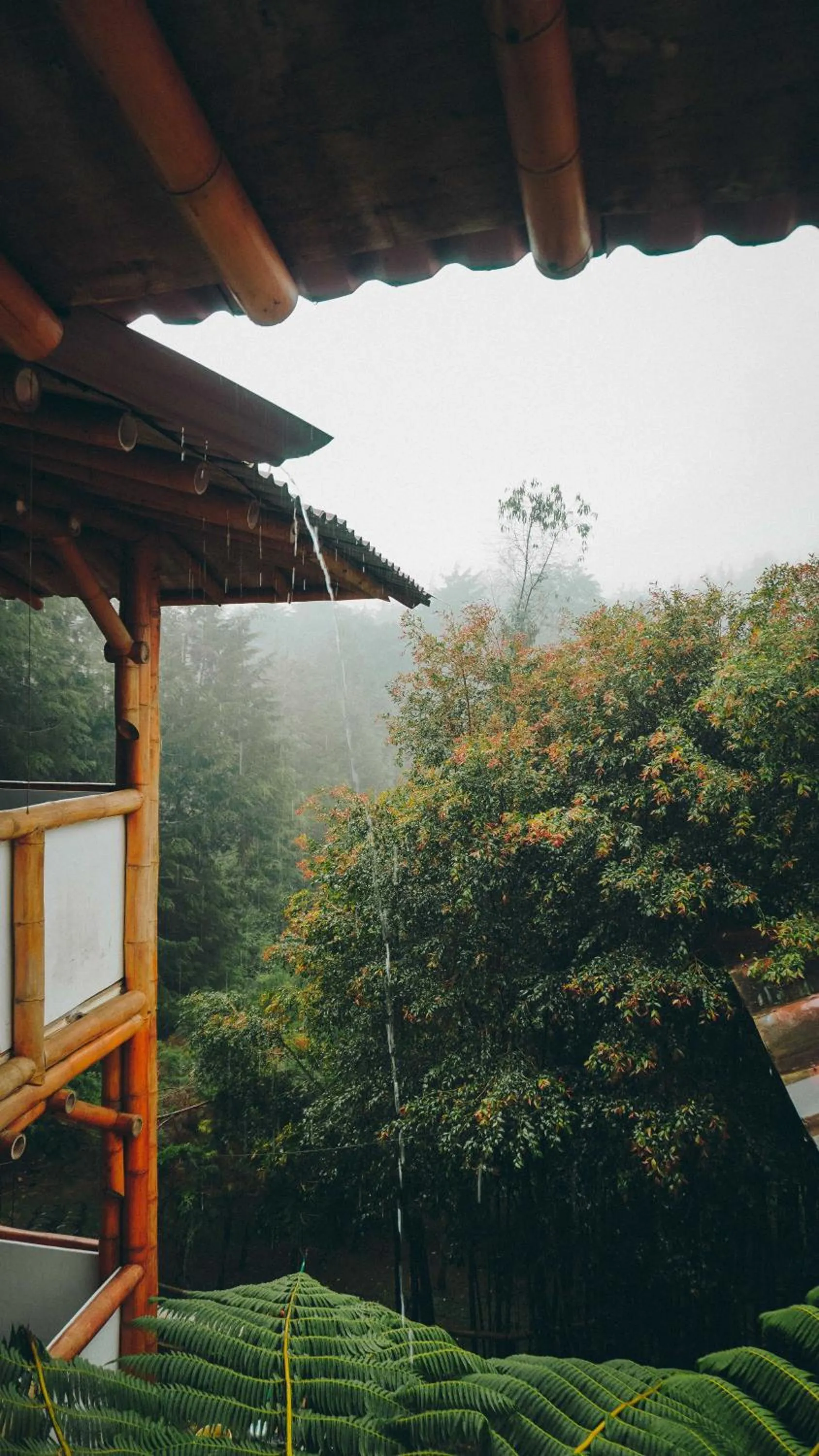 Property building in Eco Hotel Terrabella