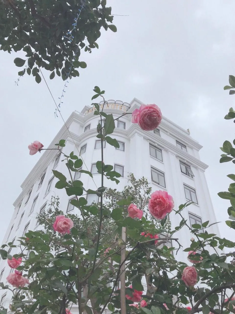 Property building in Lotus Hotel & Apartment