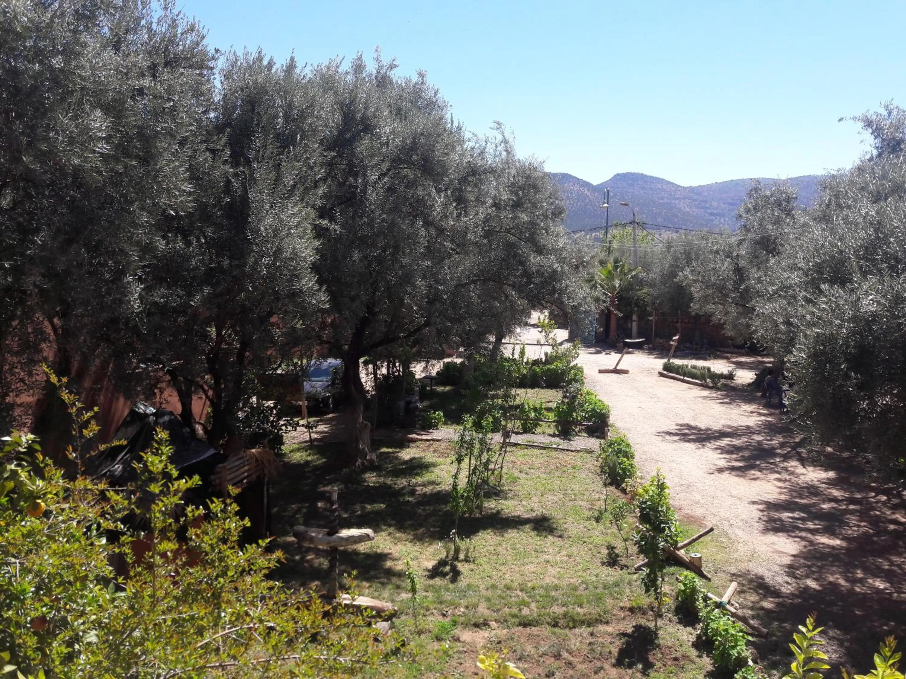 Day in Hotel France Ouzoud