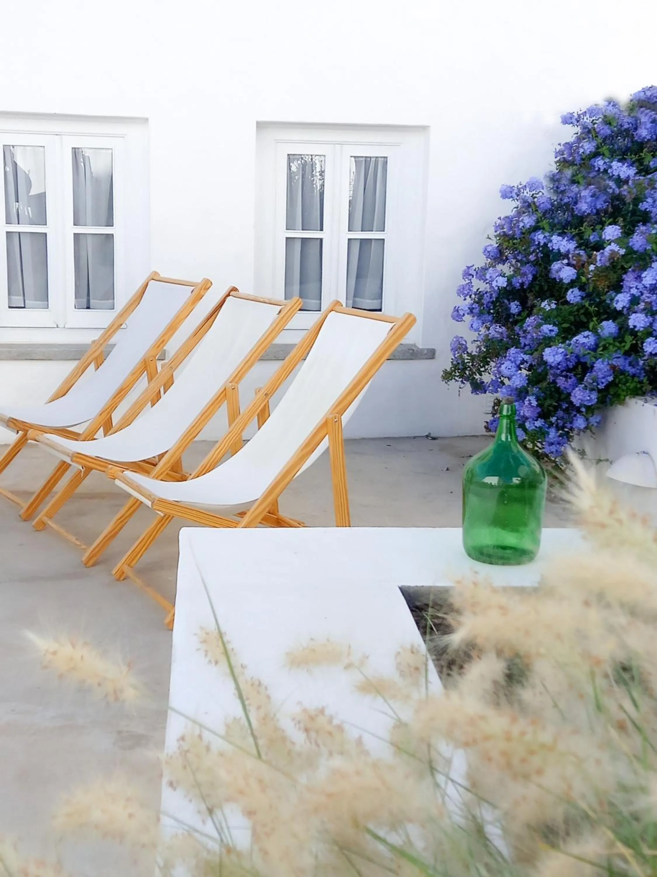 Garden view in Aljana Guest House Beja