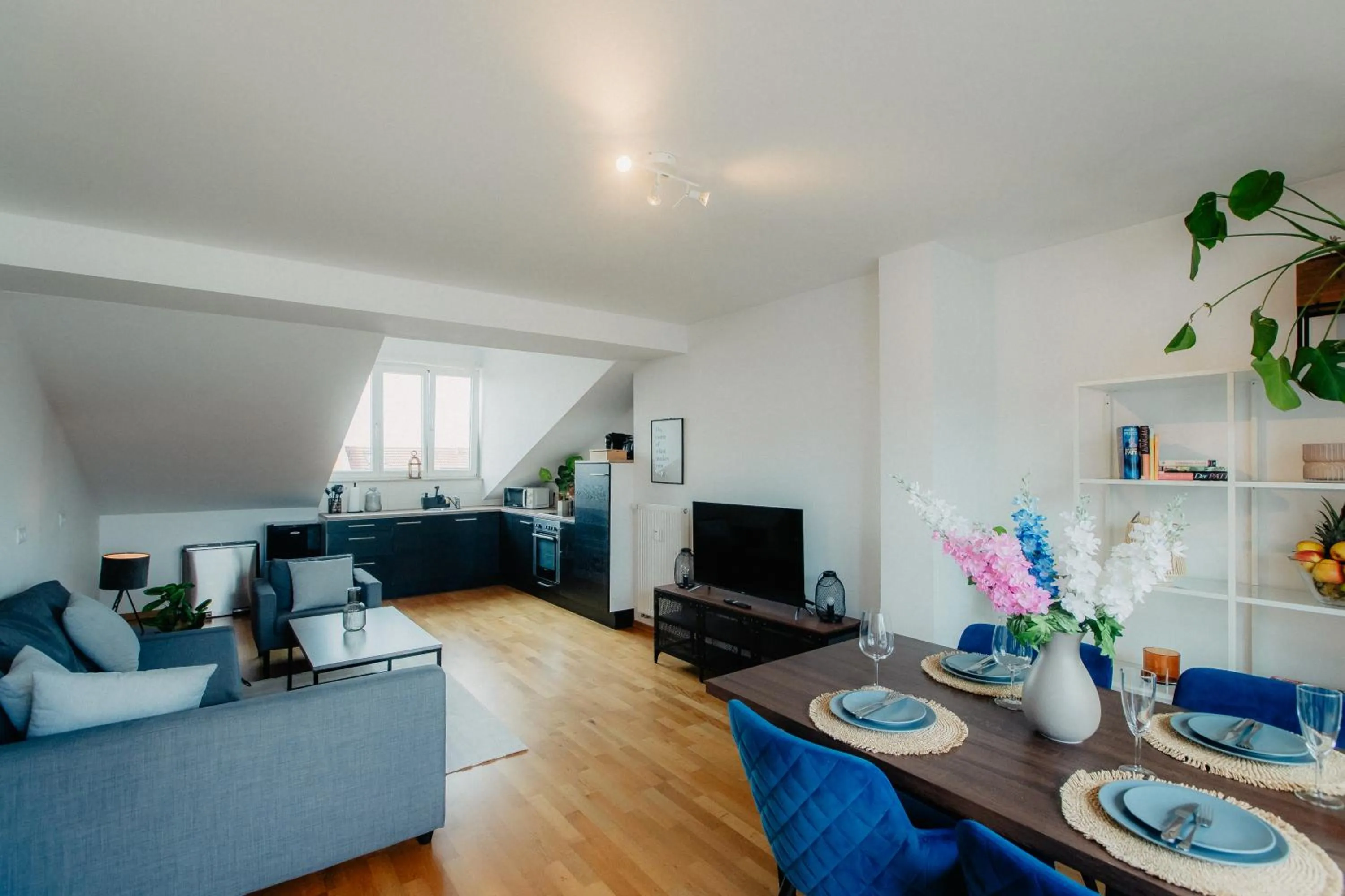 TV and multimedia in Luga Homes - Zoo