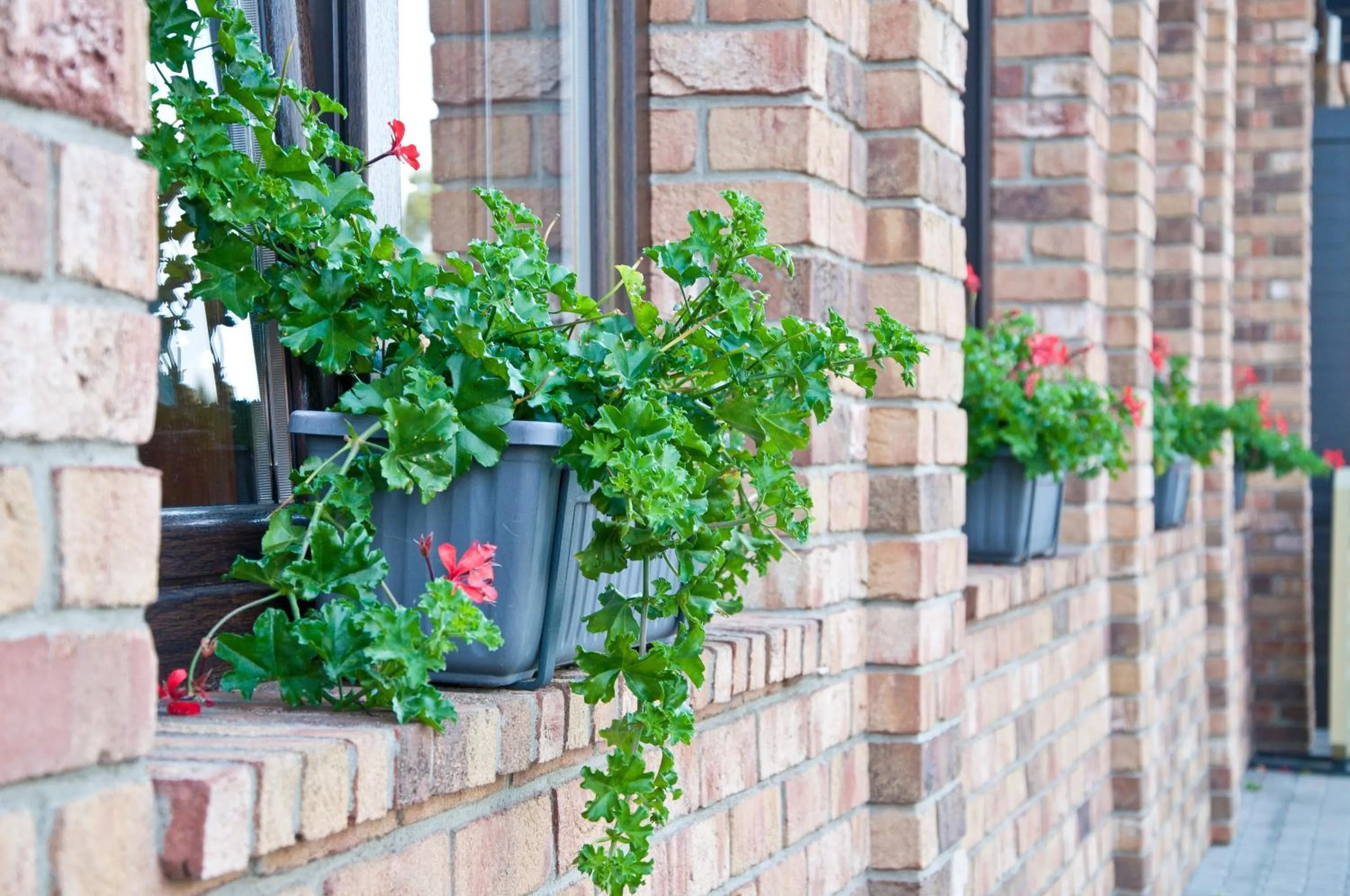 Property building in Hotel Lidový dům