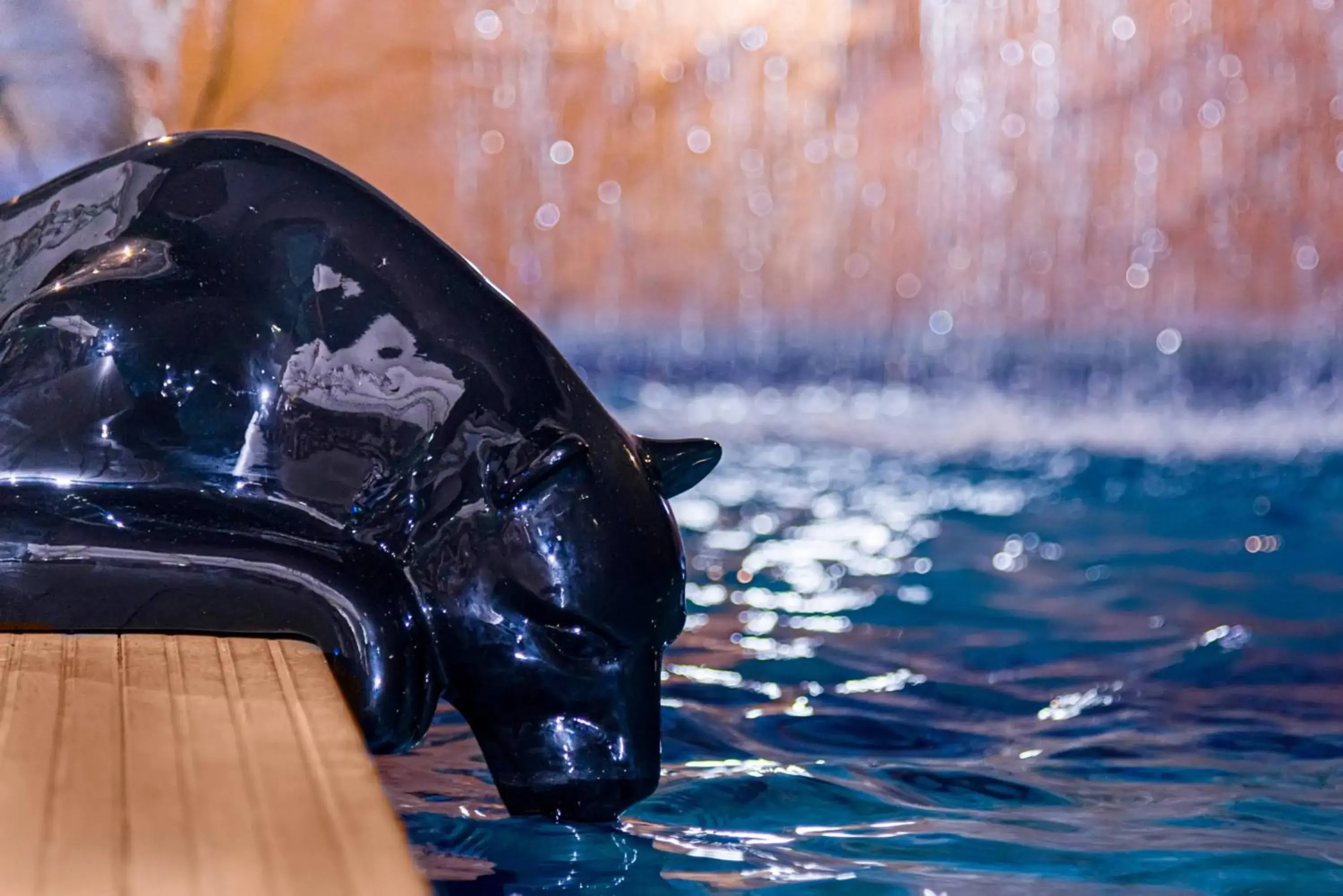 Swimming pool in Rede Andrade Amazônia Swimming pool in Rede Andrade Amazônia