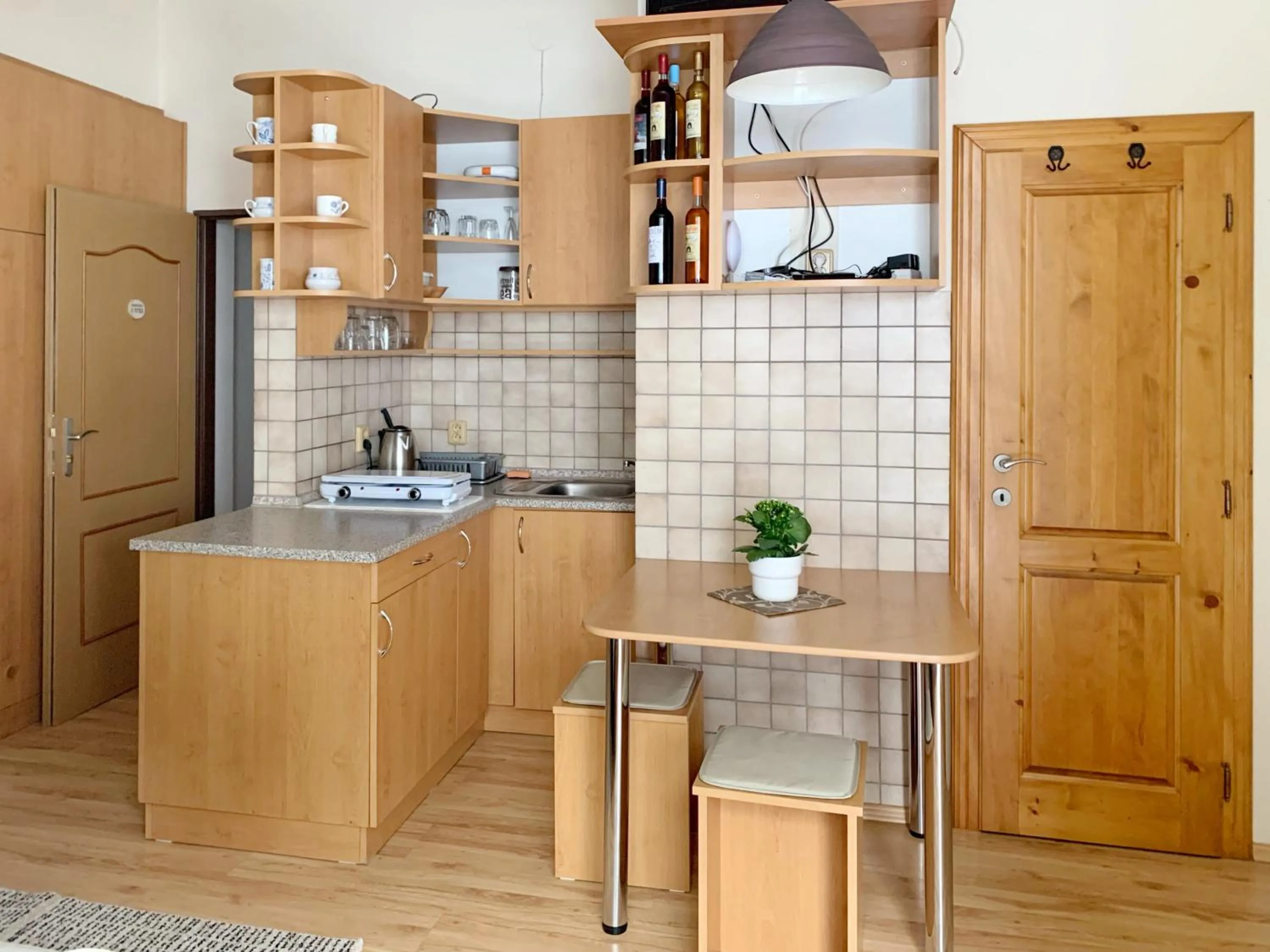 Kitchen or kitchenette in Hotel Hvezda