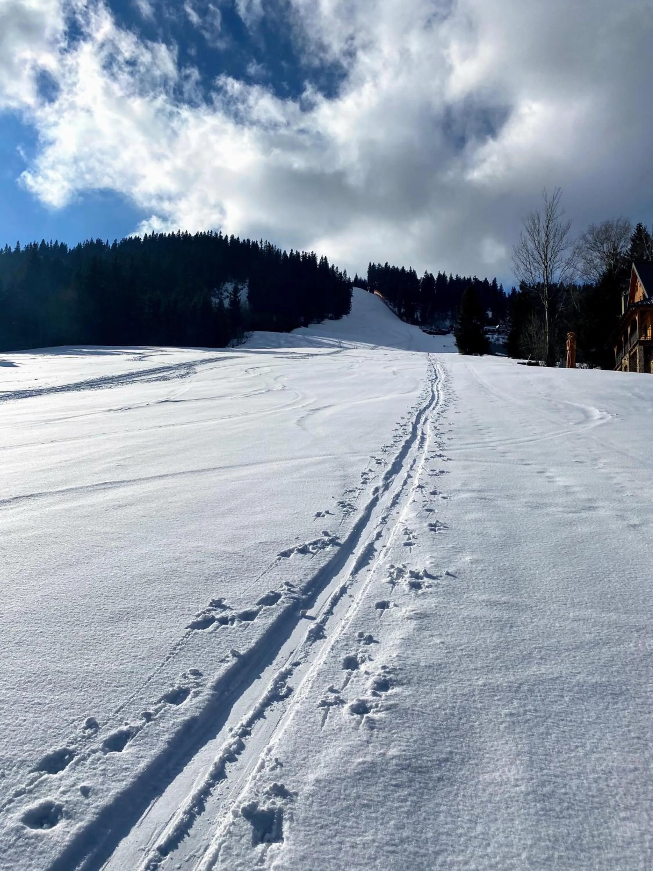 Natural landscape in Hotel Hvezda
