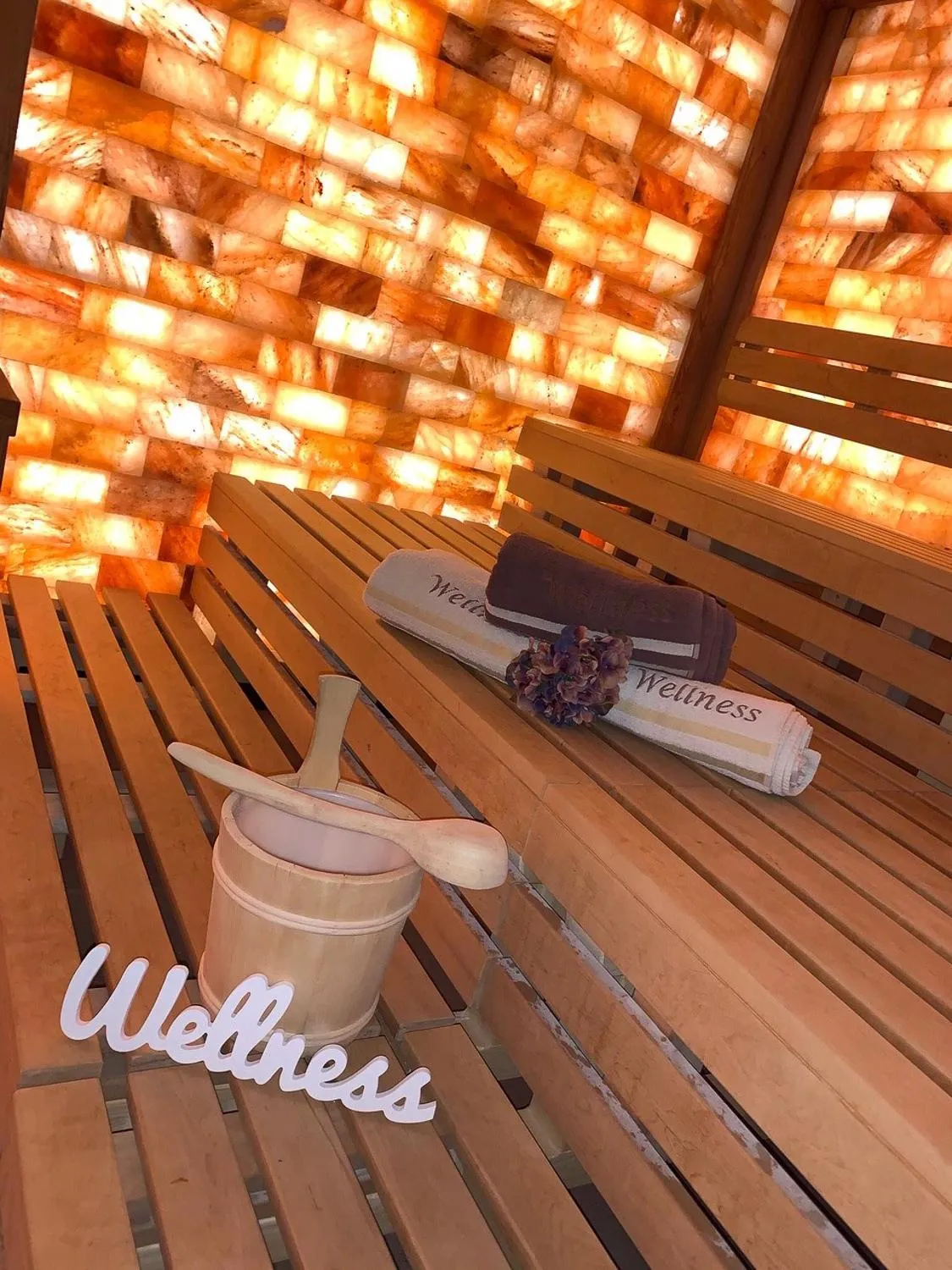 Sauna in Hotel Alex Business & SPA