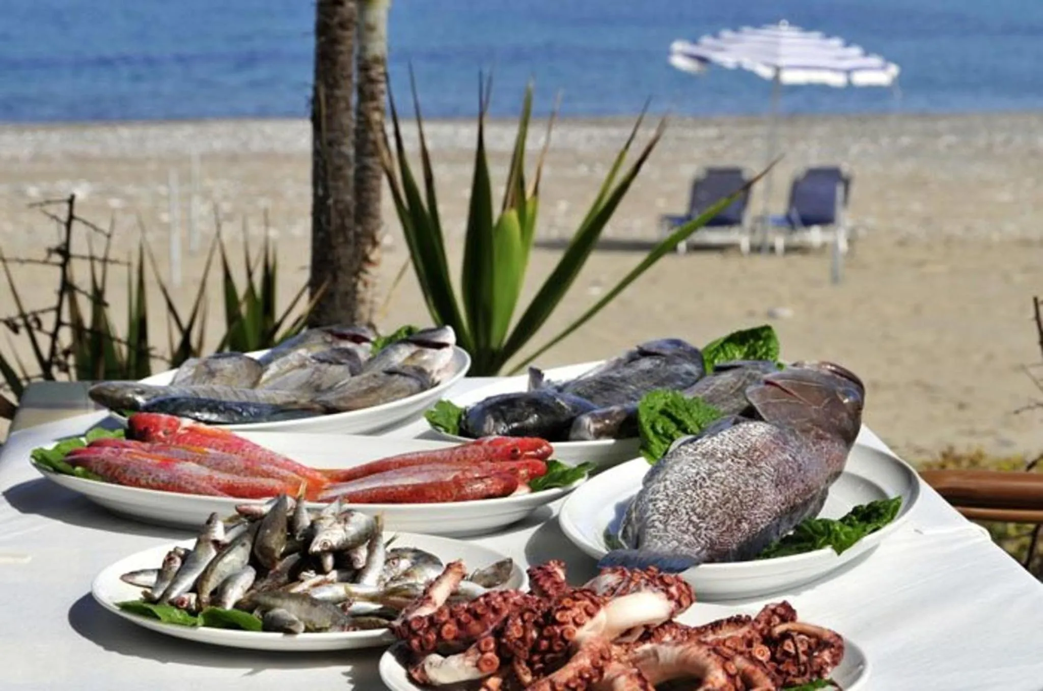 Other in Central Protaras Villa 3 Bedrooms Private Pool Villa Dafnis Morfi
