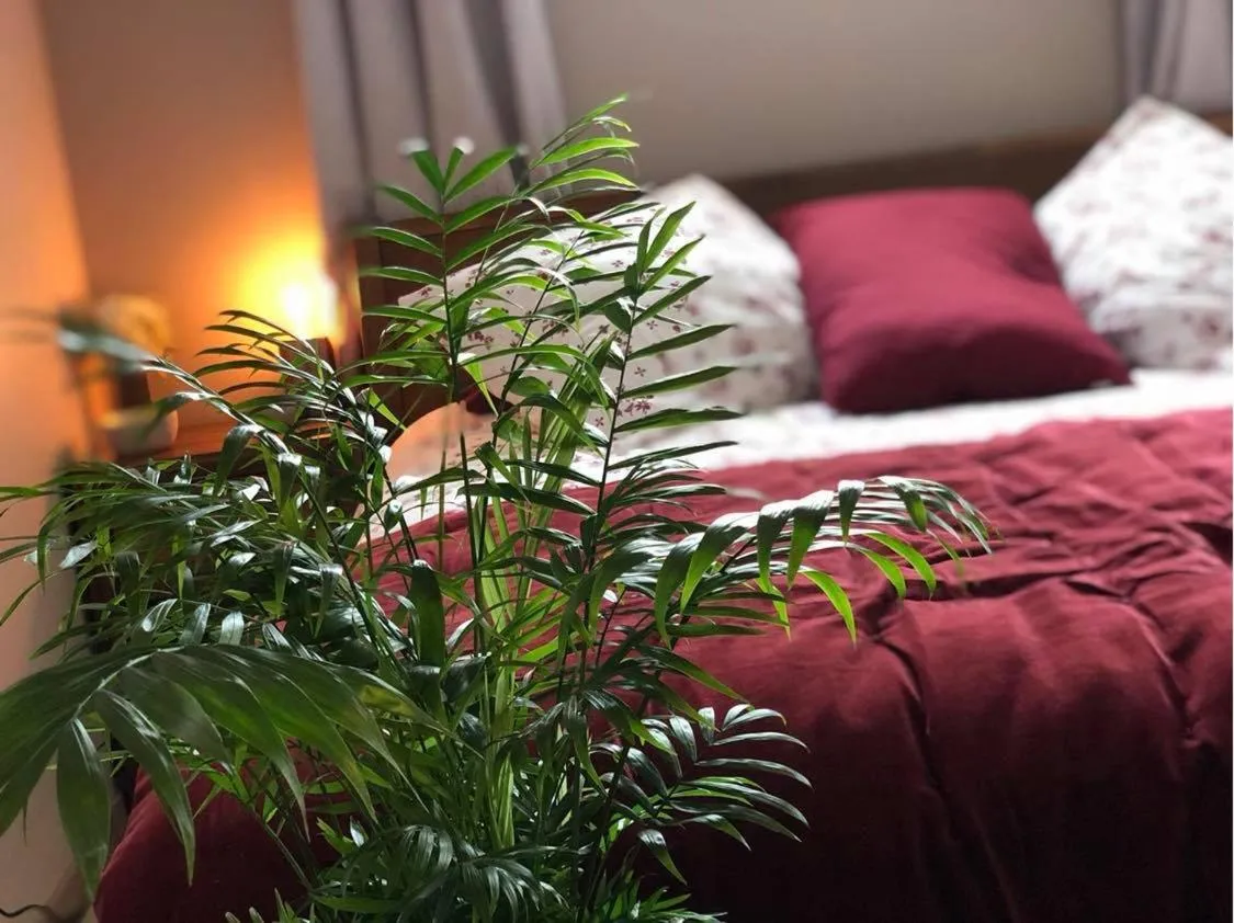 Bed in La suite des charmelines