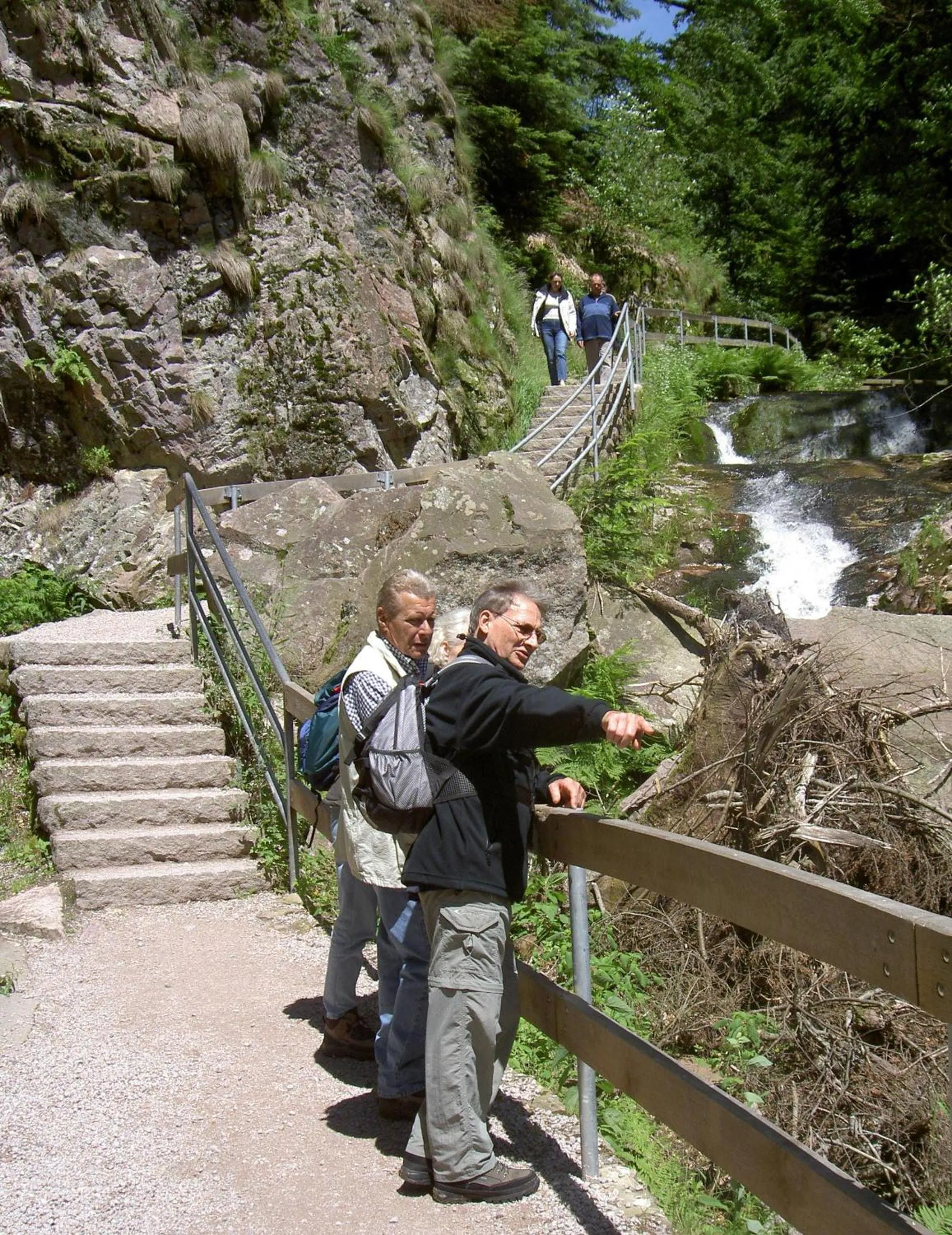 Natural landscape in Flair Hotel Adlerbad