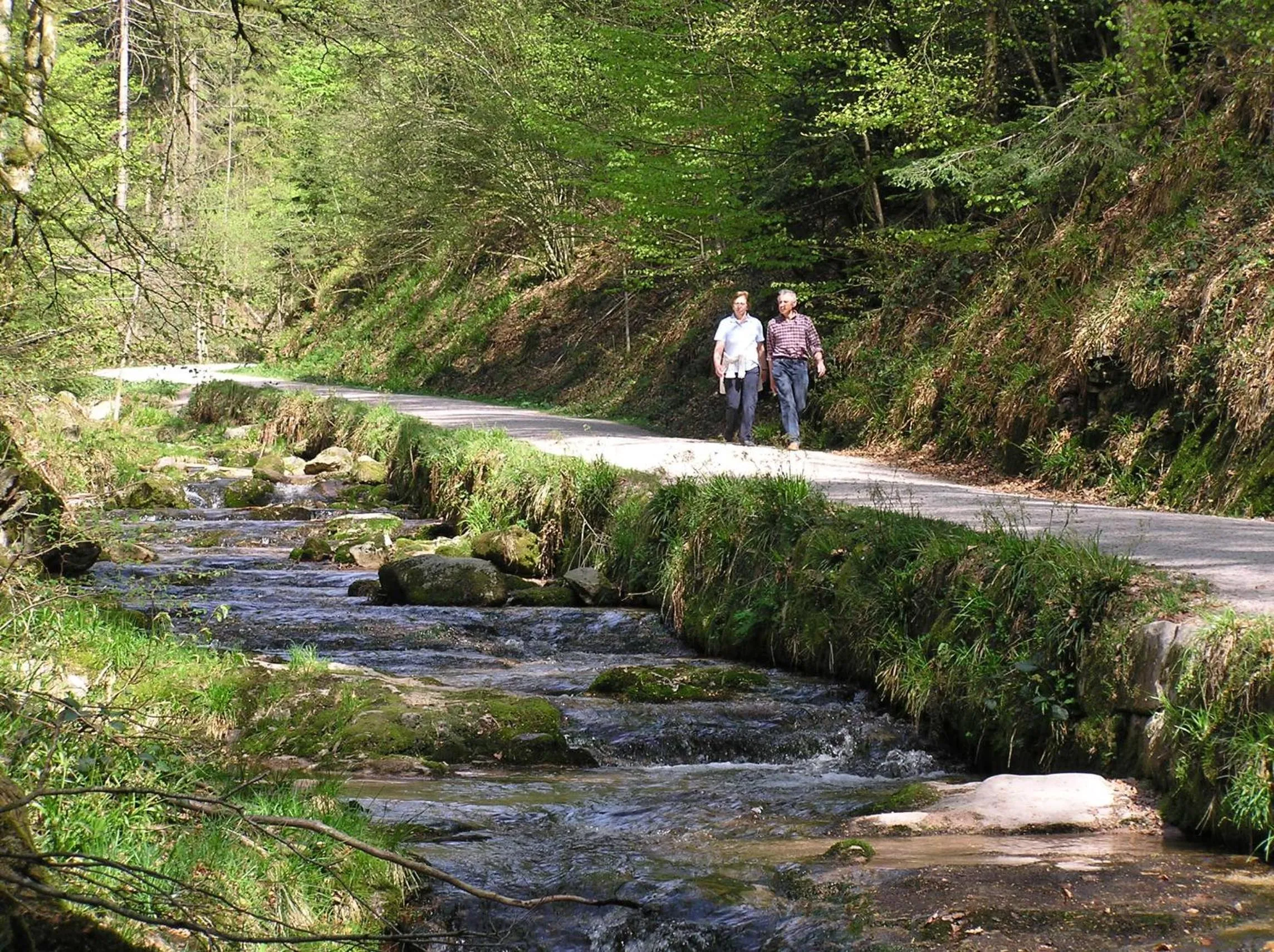 Natural landscape in Flair Hotel Adlerbad