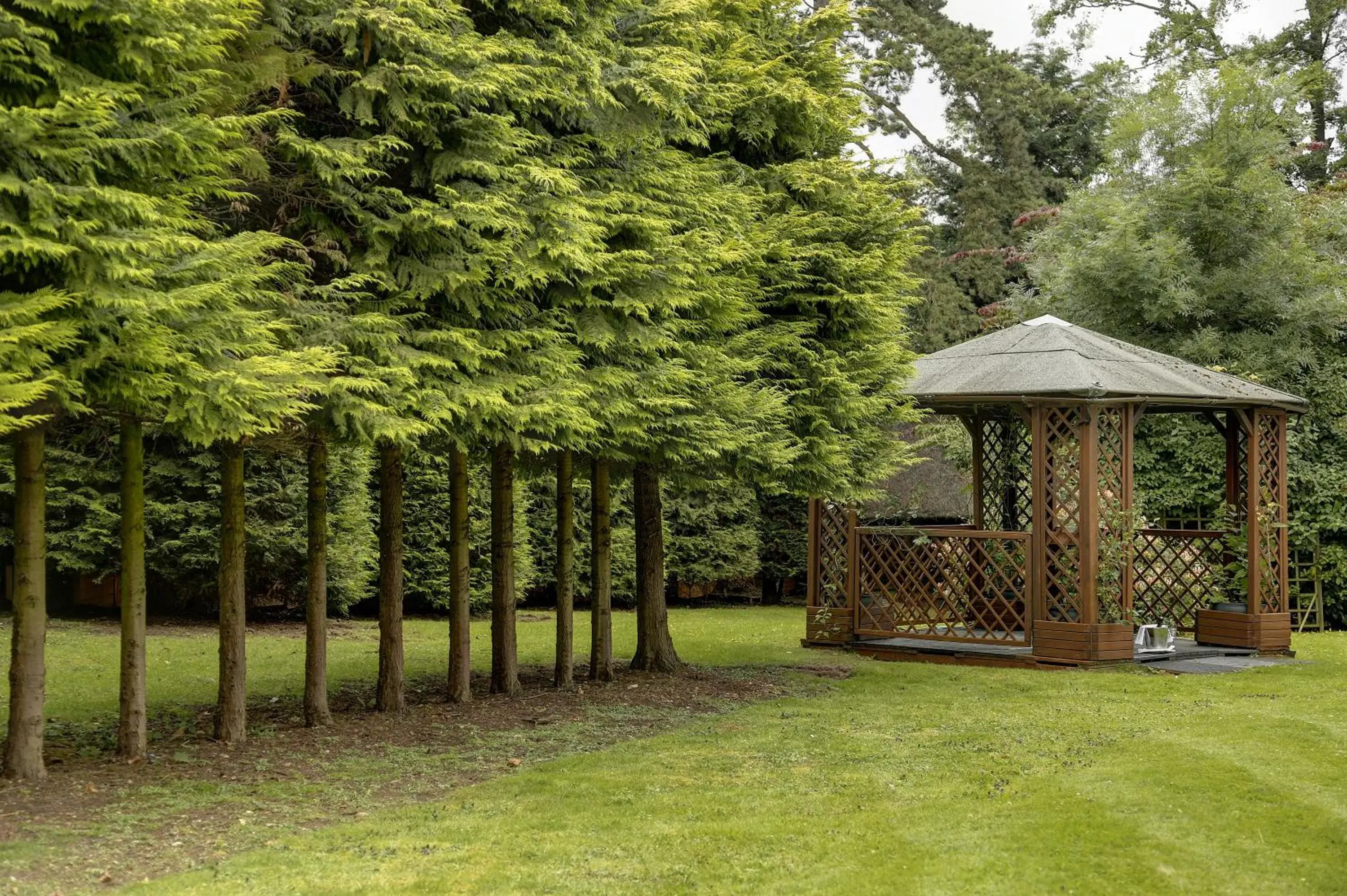 Garden in Needham House Hotel