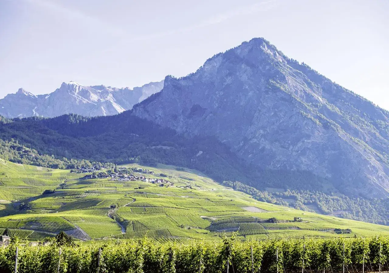 Mountain view in Hôtel des Bains de Saillon Mountain view in Hôtel des Bains de Saillon