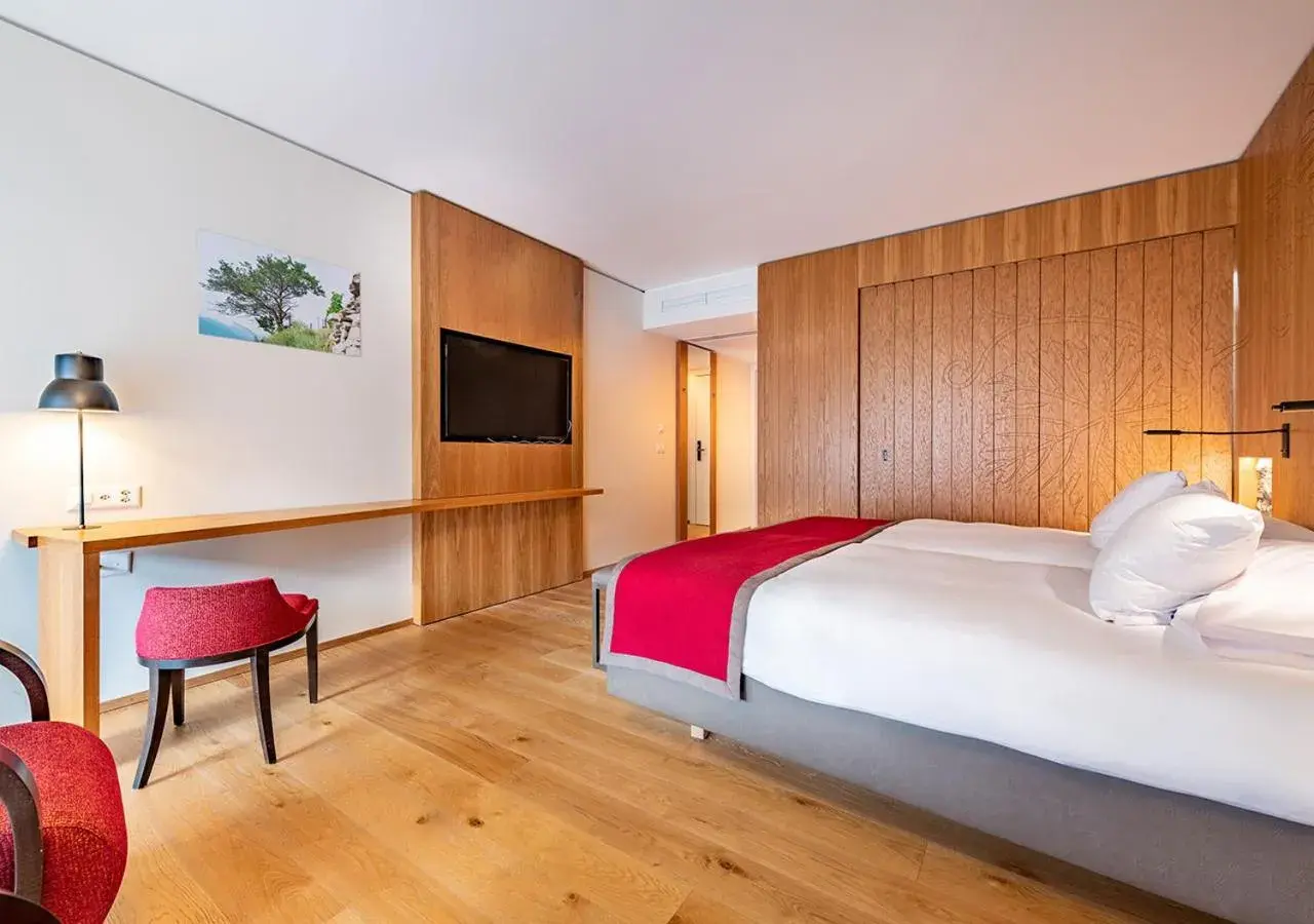 TV and multimedia, Bed in Hôtel des Bains de Saillon TV and multimedia, Bed in Hôtel des Bains de Saillon