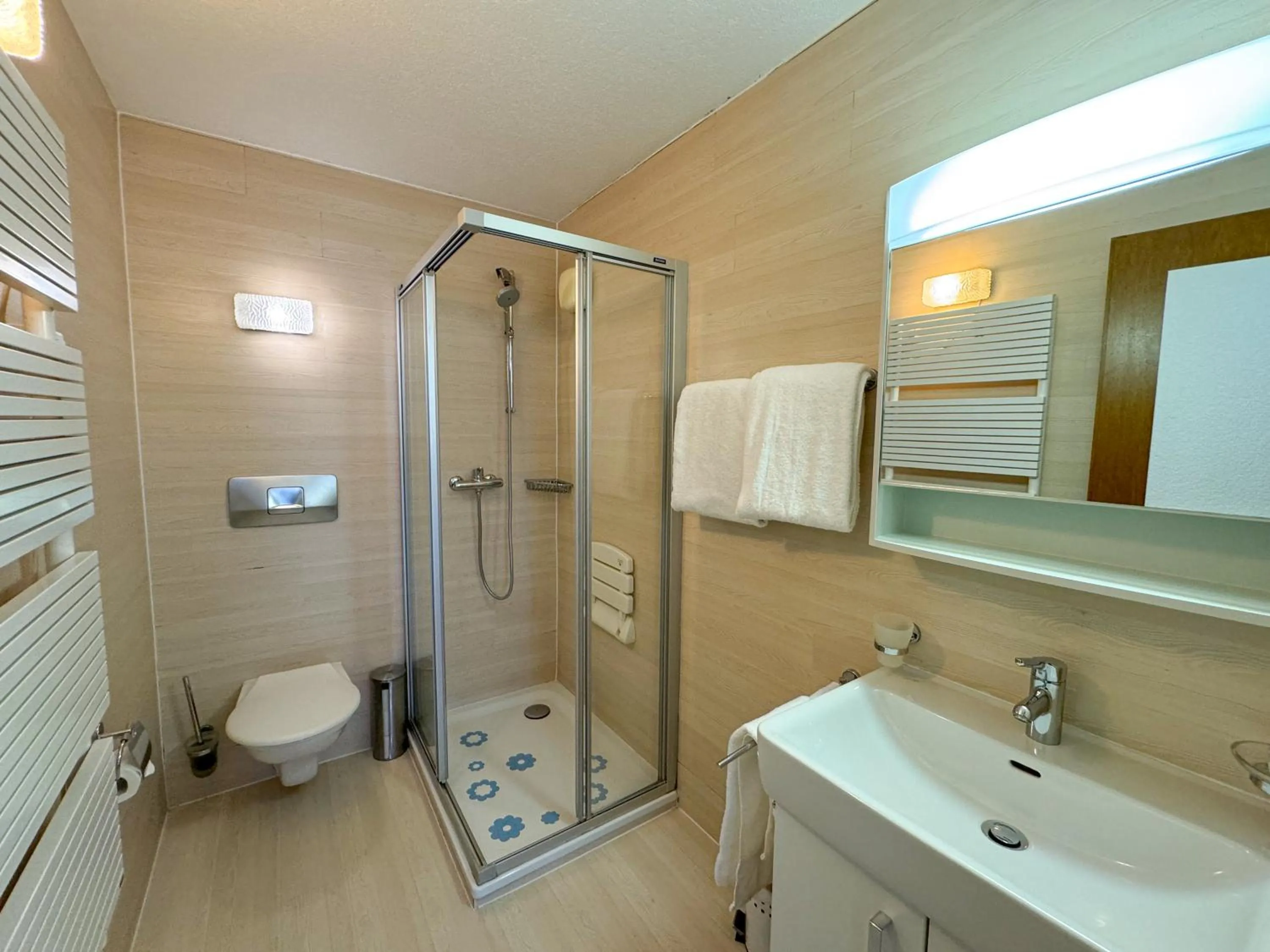 Bathroom in Hôtel des Bains de Saillon