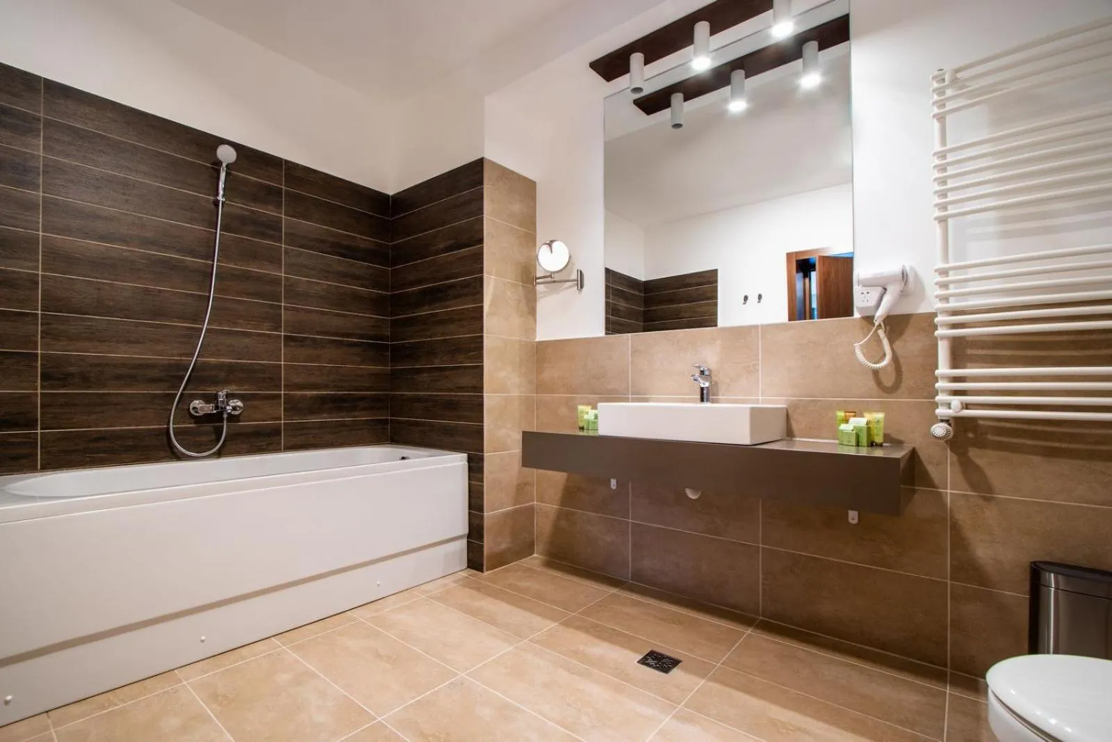 Bathroom in Hotel IZVOARE Caciulata