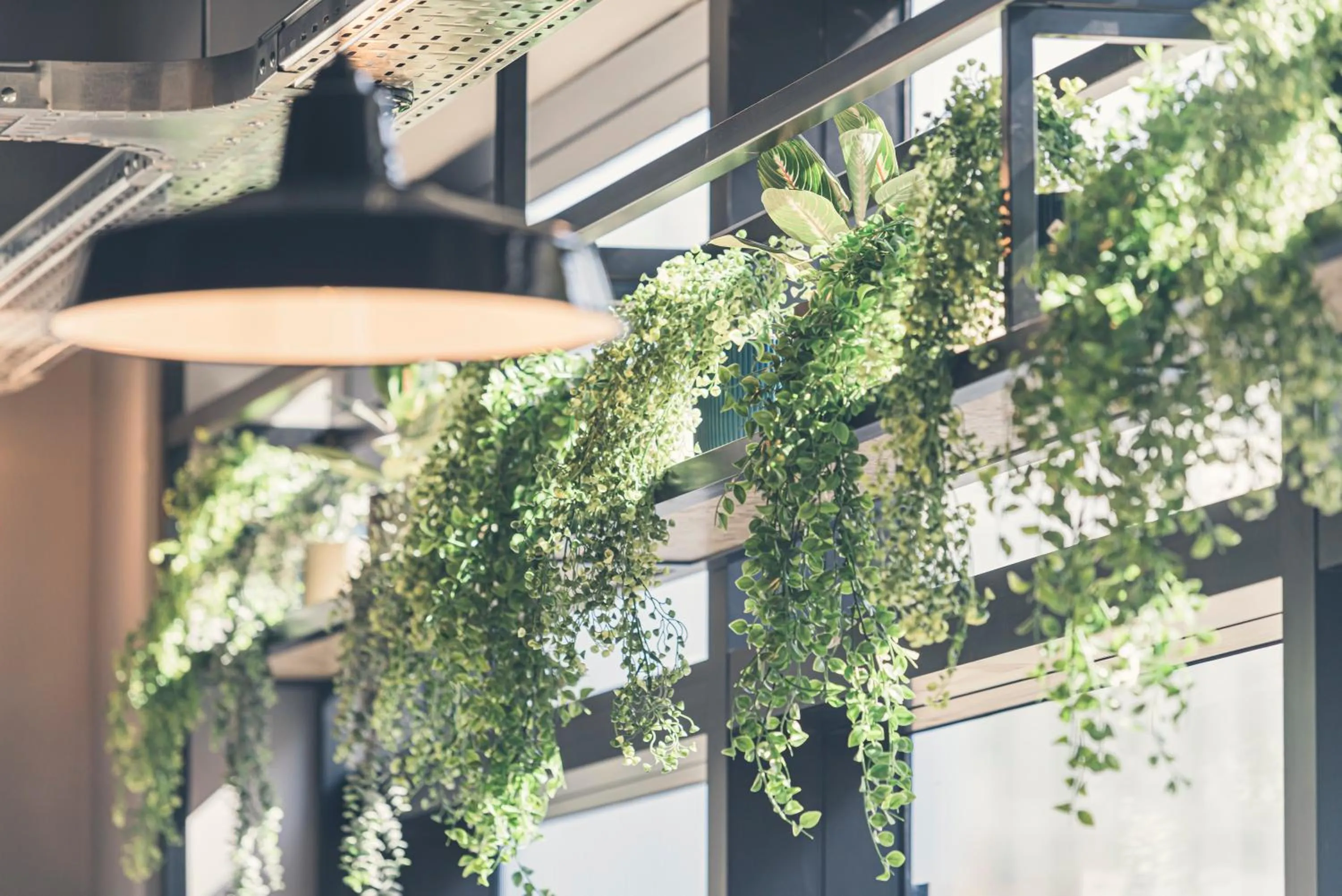 Whoo Bordeaux Bacalan - Hostel