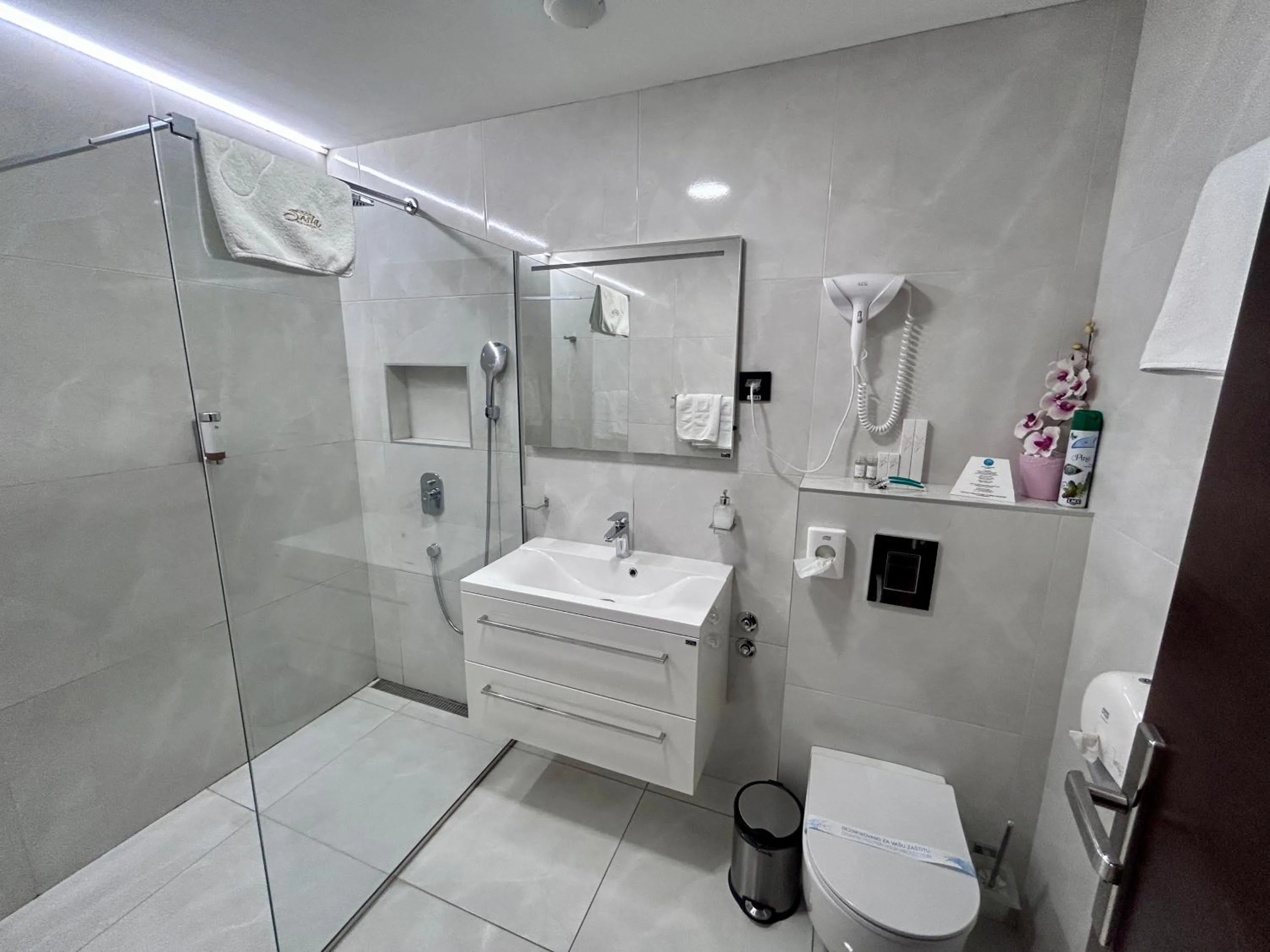 Shower in Hotel Siesta