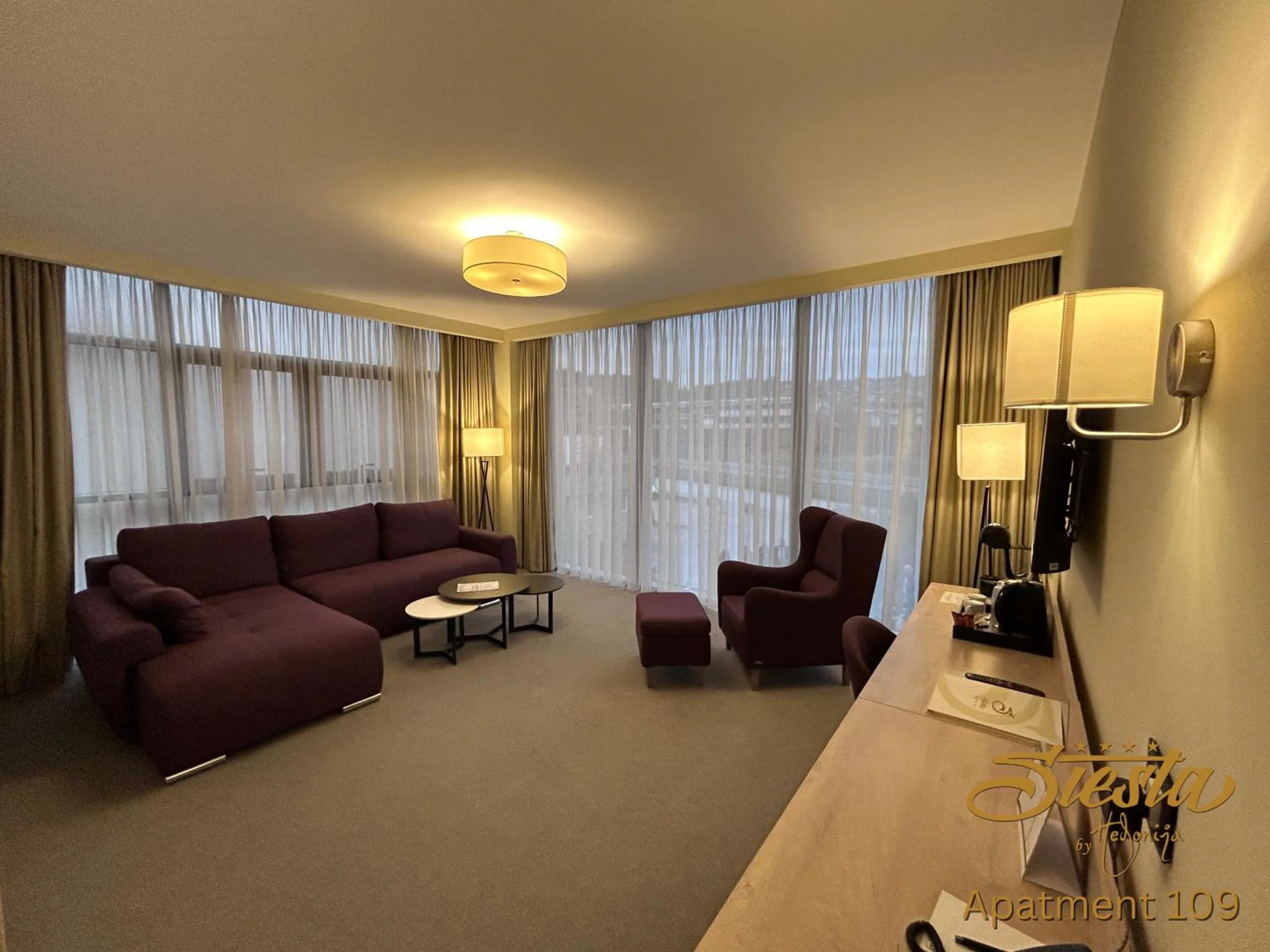 TV and multimedia in Hotel Siesta