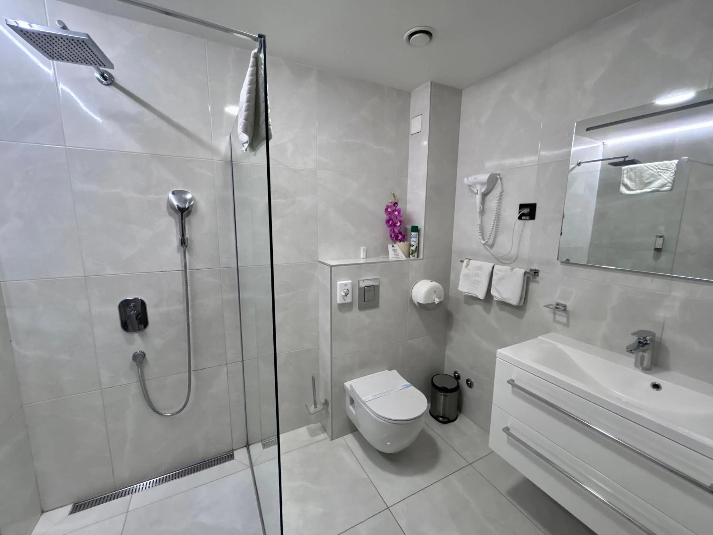 Shower in Hotel Siesta