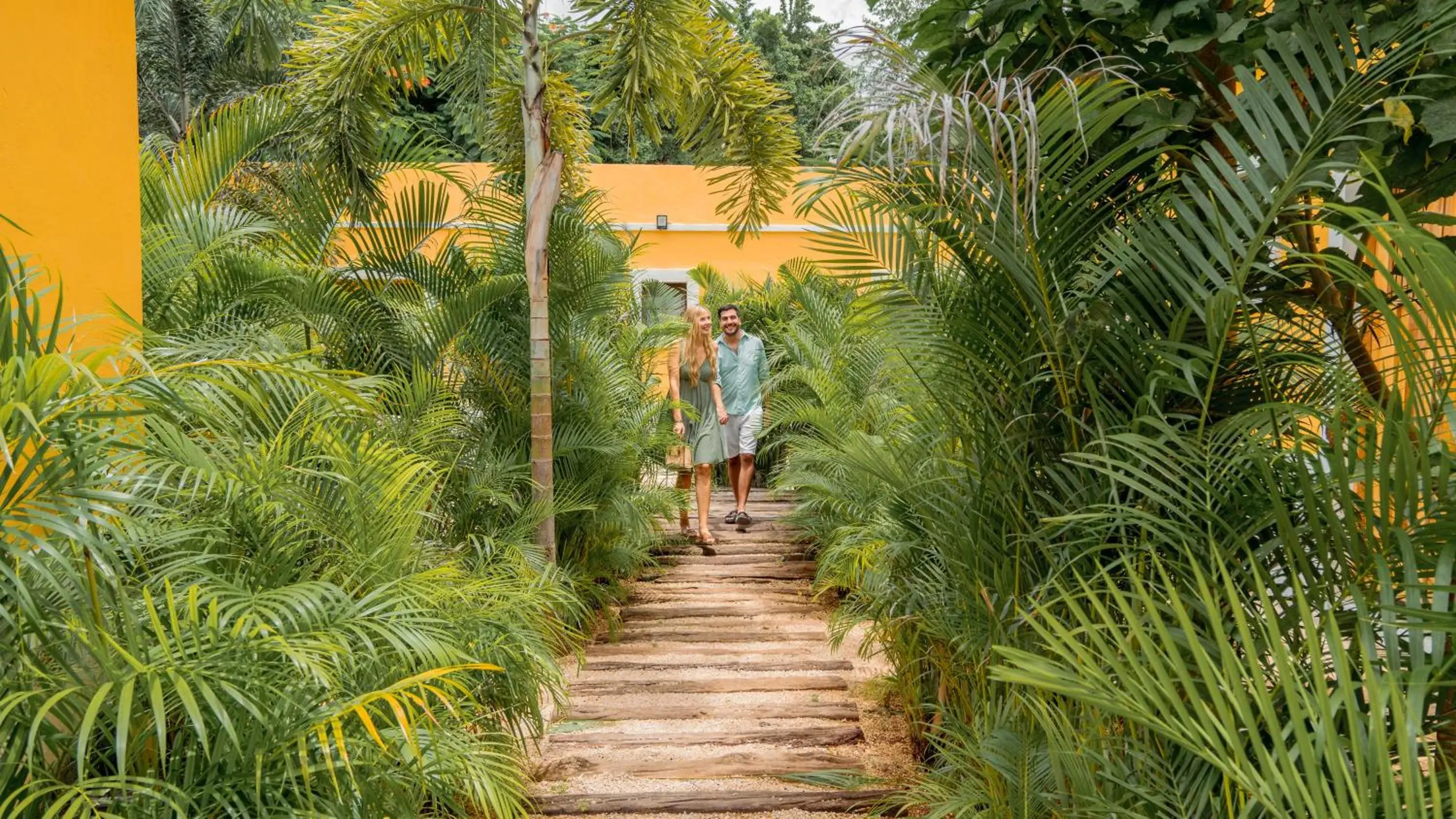 Garden view in Hotel Unknown Garden view in Hotel Unknown