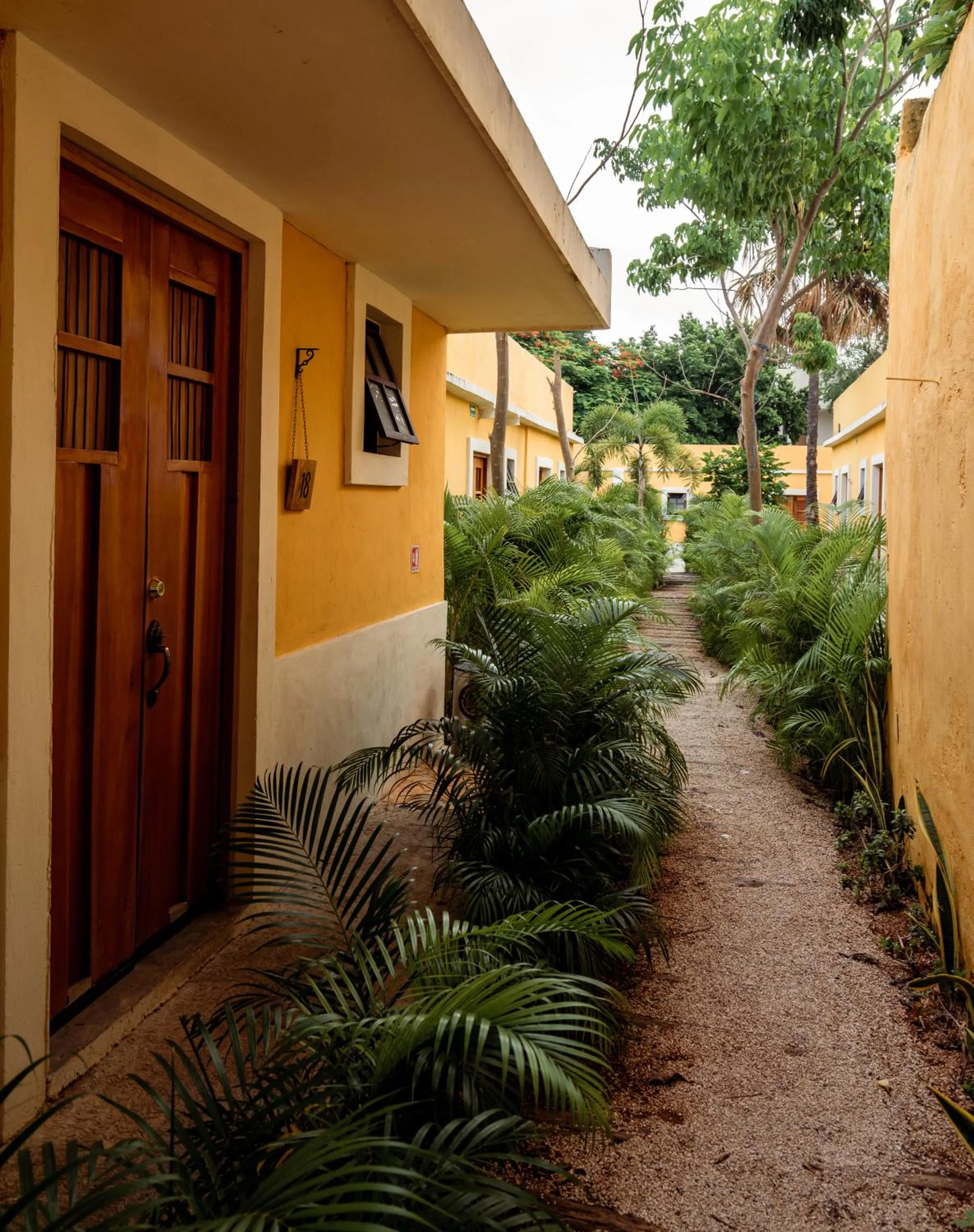 Garden view in Hotel Unknown