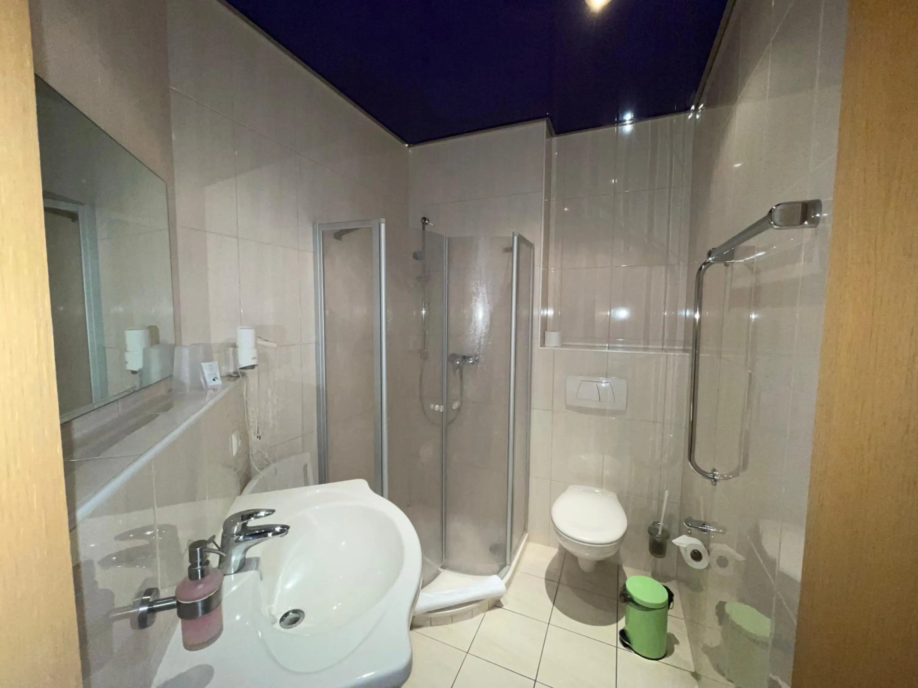 Bathroom in Müritz Landhotel Grüner Baum