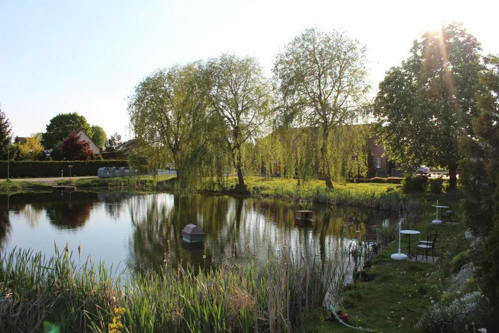 Garden in Müritz Landhotel Grüner Baum