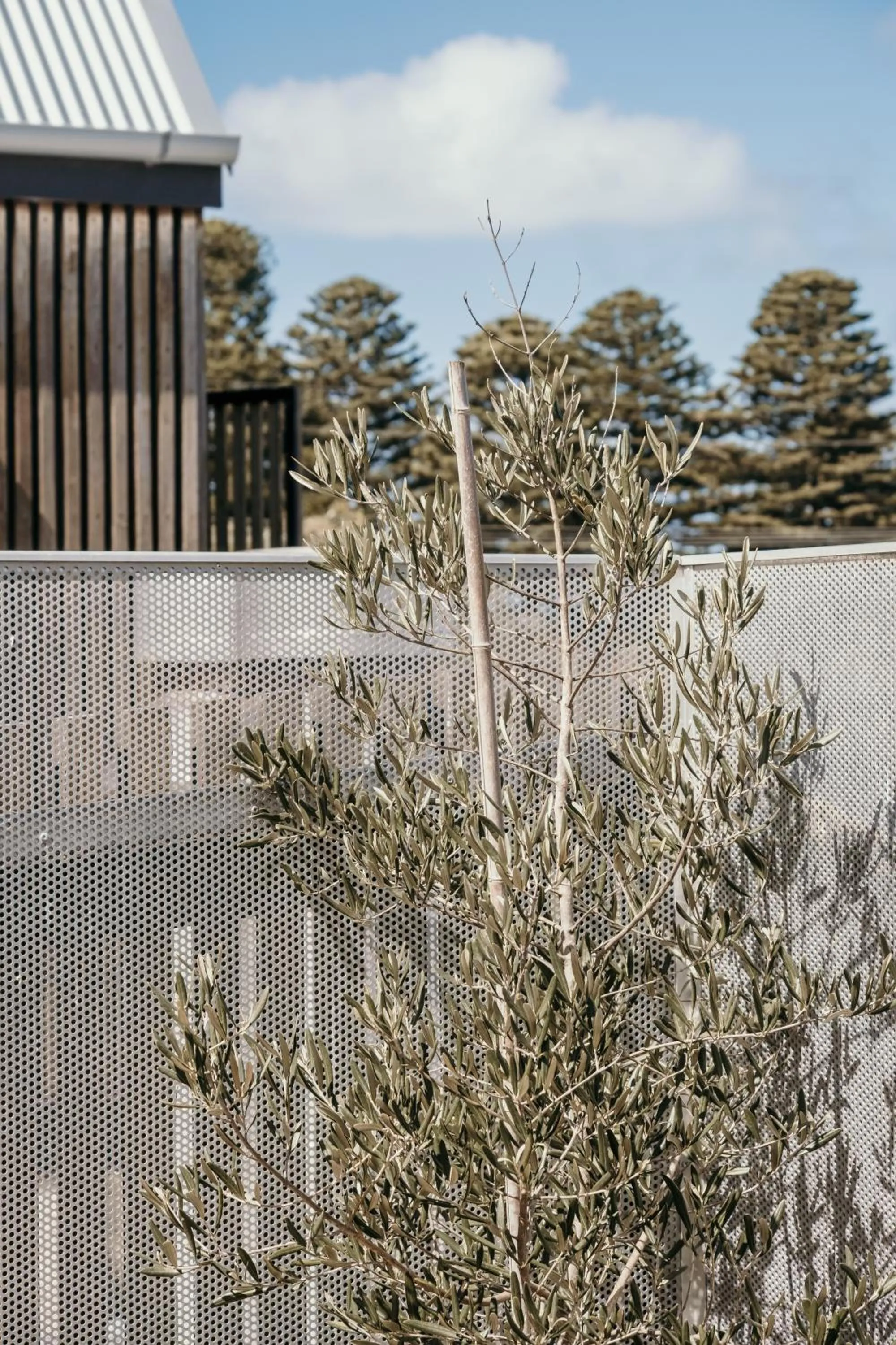 Balcony/Terrace in The Oak & Anchor Hotel