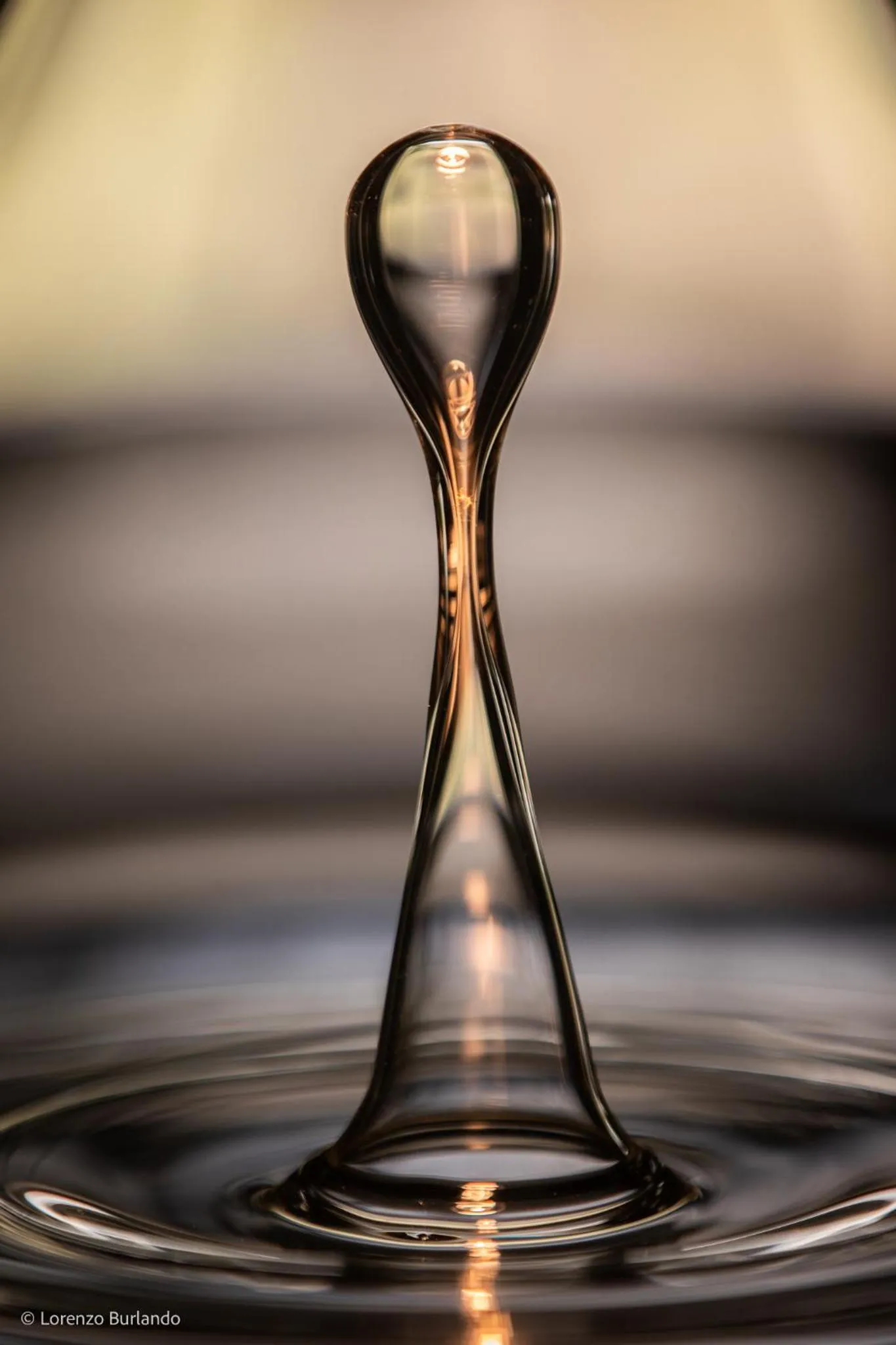 View (from property/room) in Relais Villa Margherita