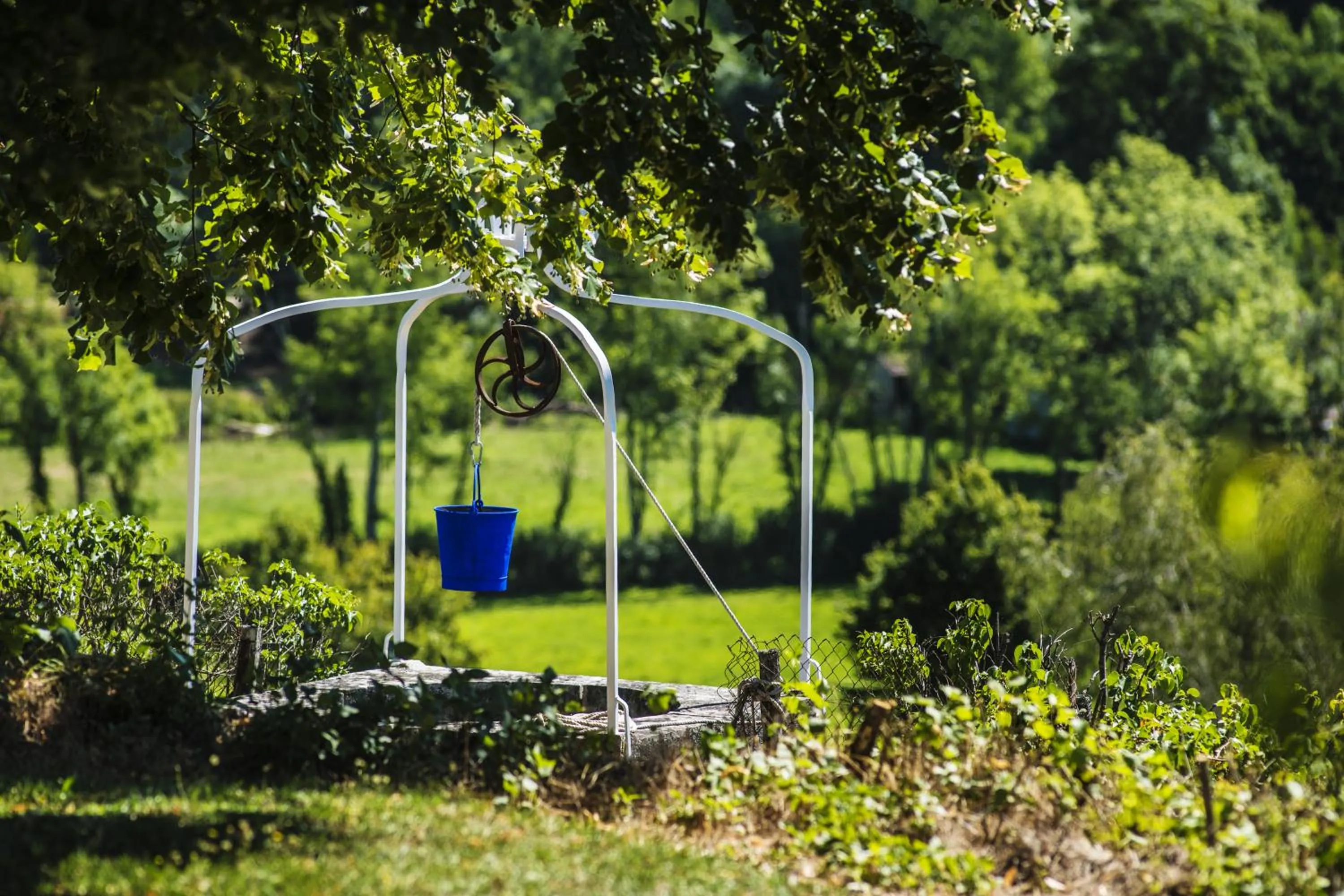 Garden in Le Domaine des Carriers